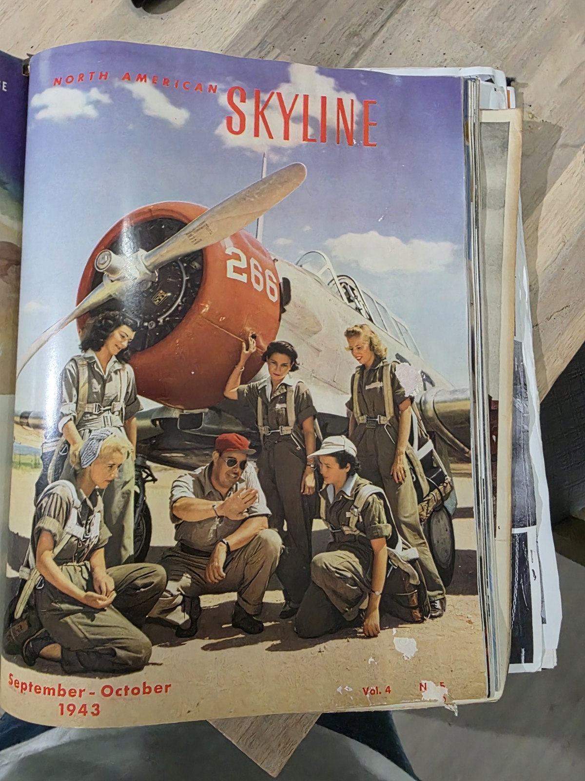 Vintage Skyline Books 1941 To 1944