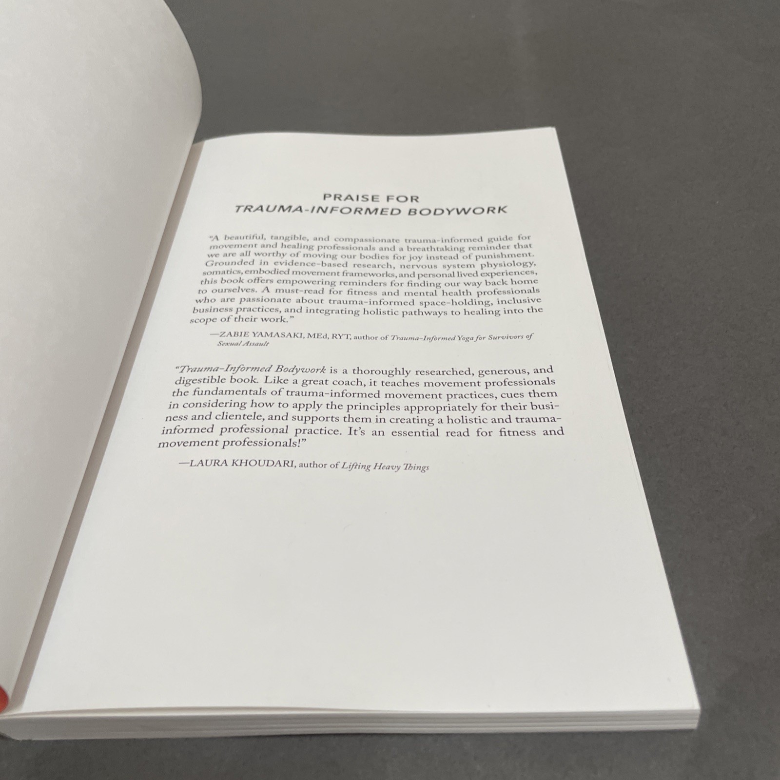 Trauma-Informed Bodywork by Chelsea Haverly Paperback