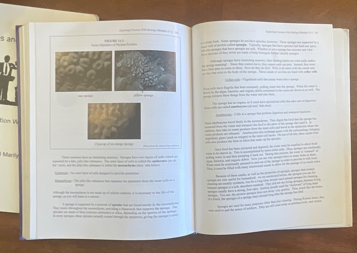 Apologia Exploring Creation With Biology 1998 Wile Durnell High School Textbook