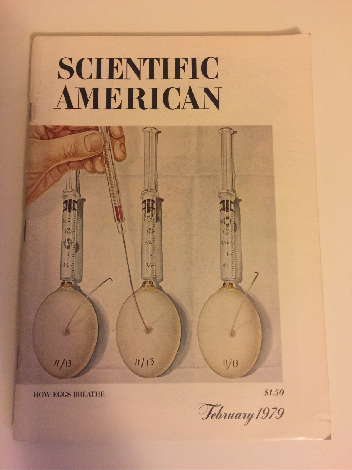 Vintage Scientific American Magazine, February 1979 HOW EGGS BREATHE 168 pages