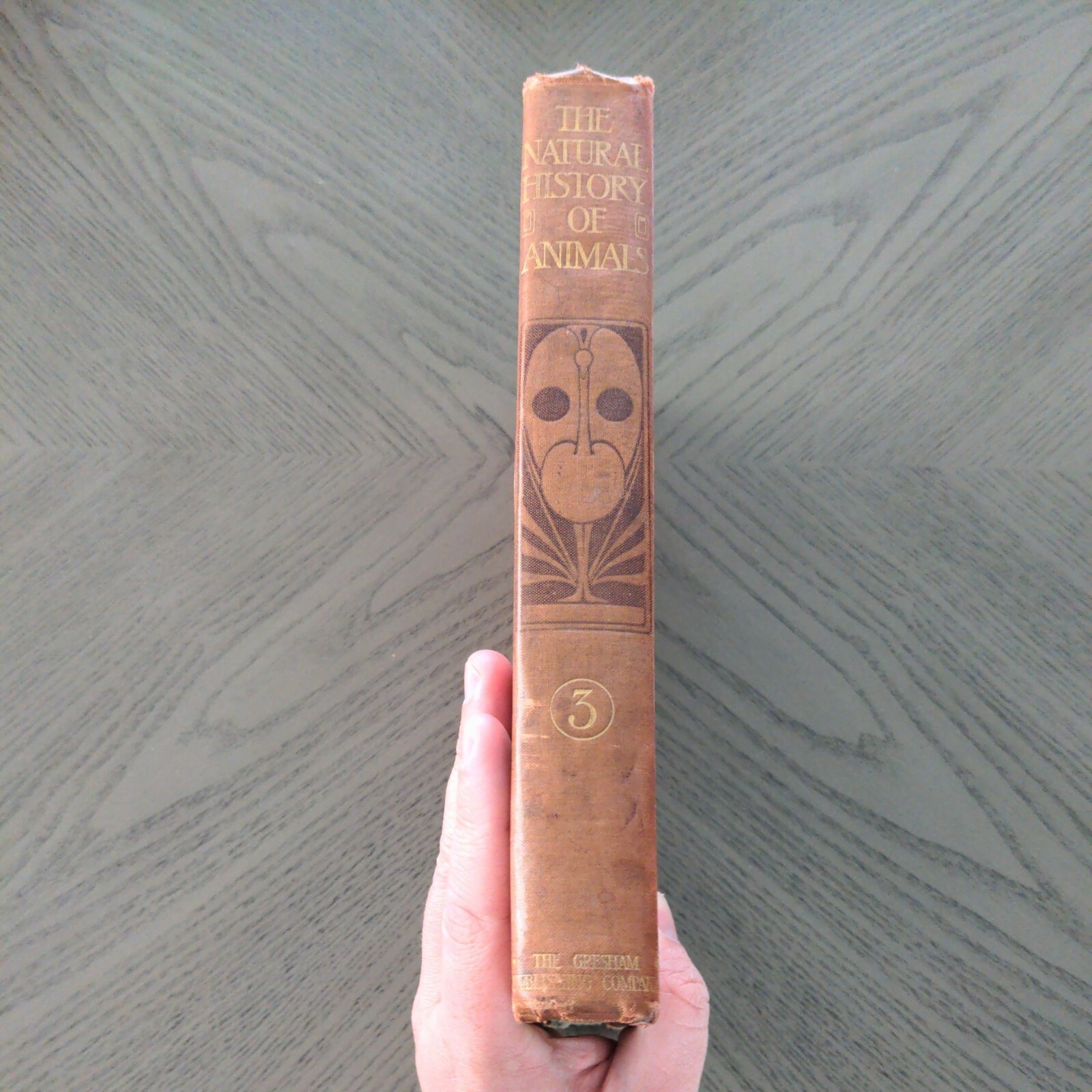 The Natural History Of Animals (Hardcover 1903) J.R. Ainsworth Davis Half Vol 3