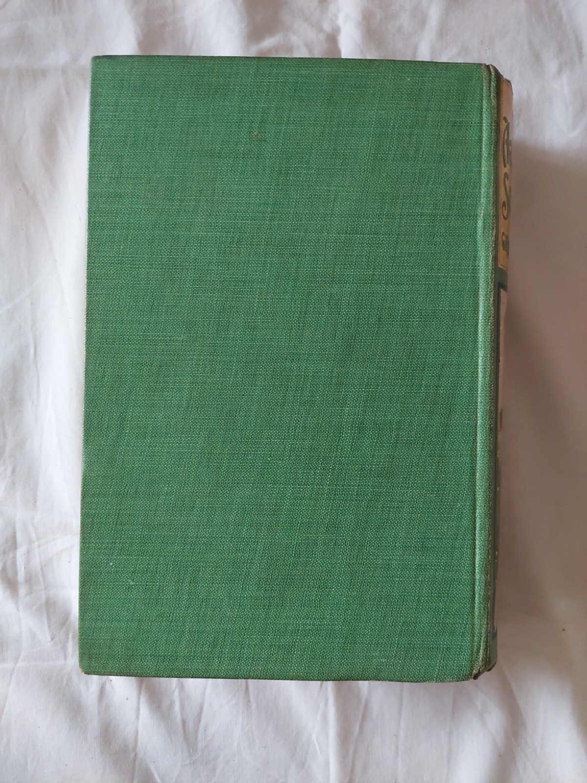 That Aggravating Schoolgirl, Grace Stebbing. Hb 1913. Jun