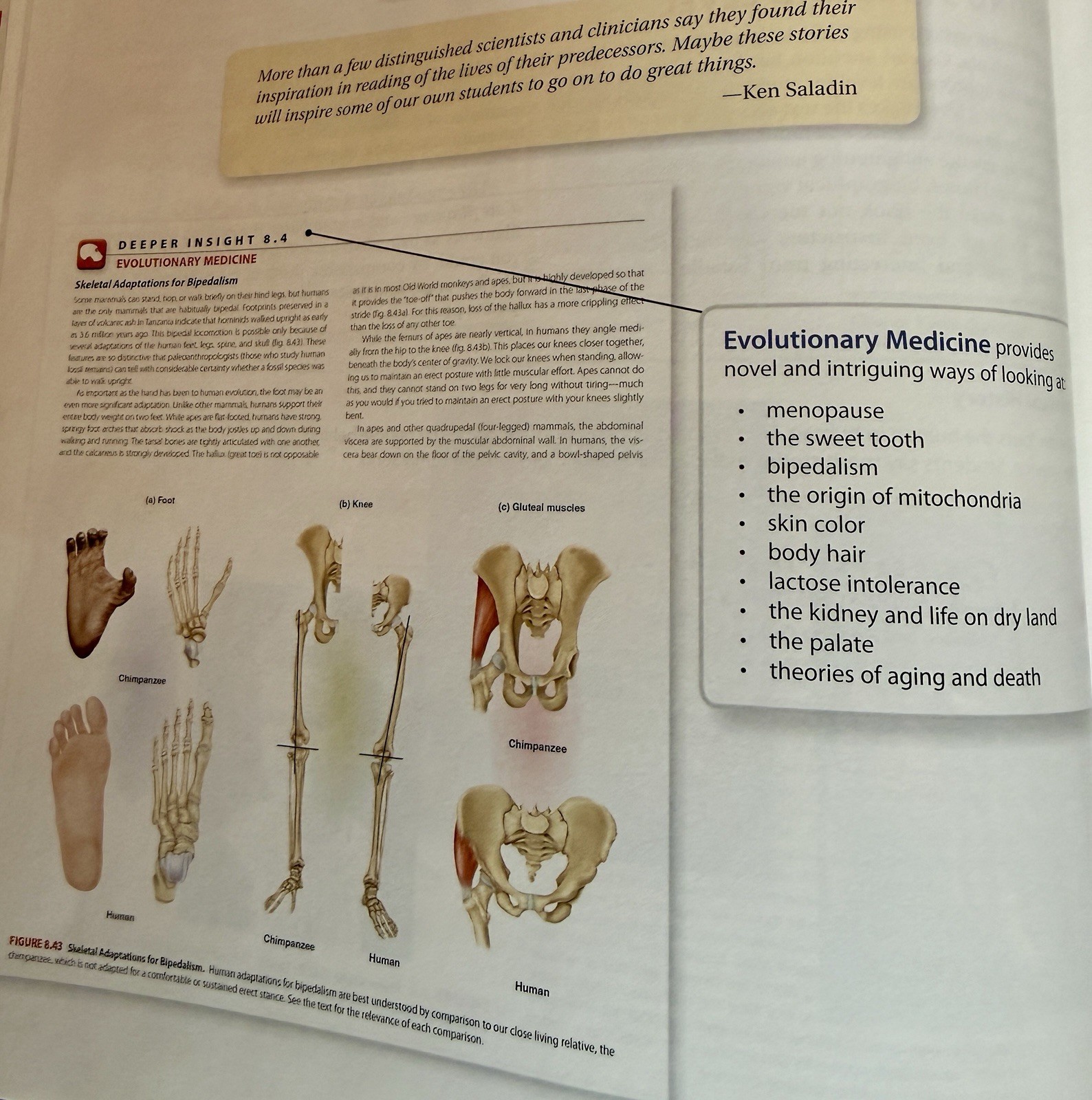 Saladin Anatomy & Physiology Unity of Form & Function 7th HC 2014 Illustrated