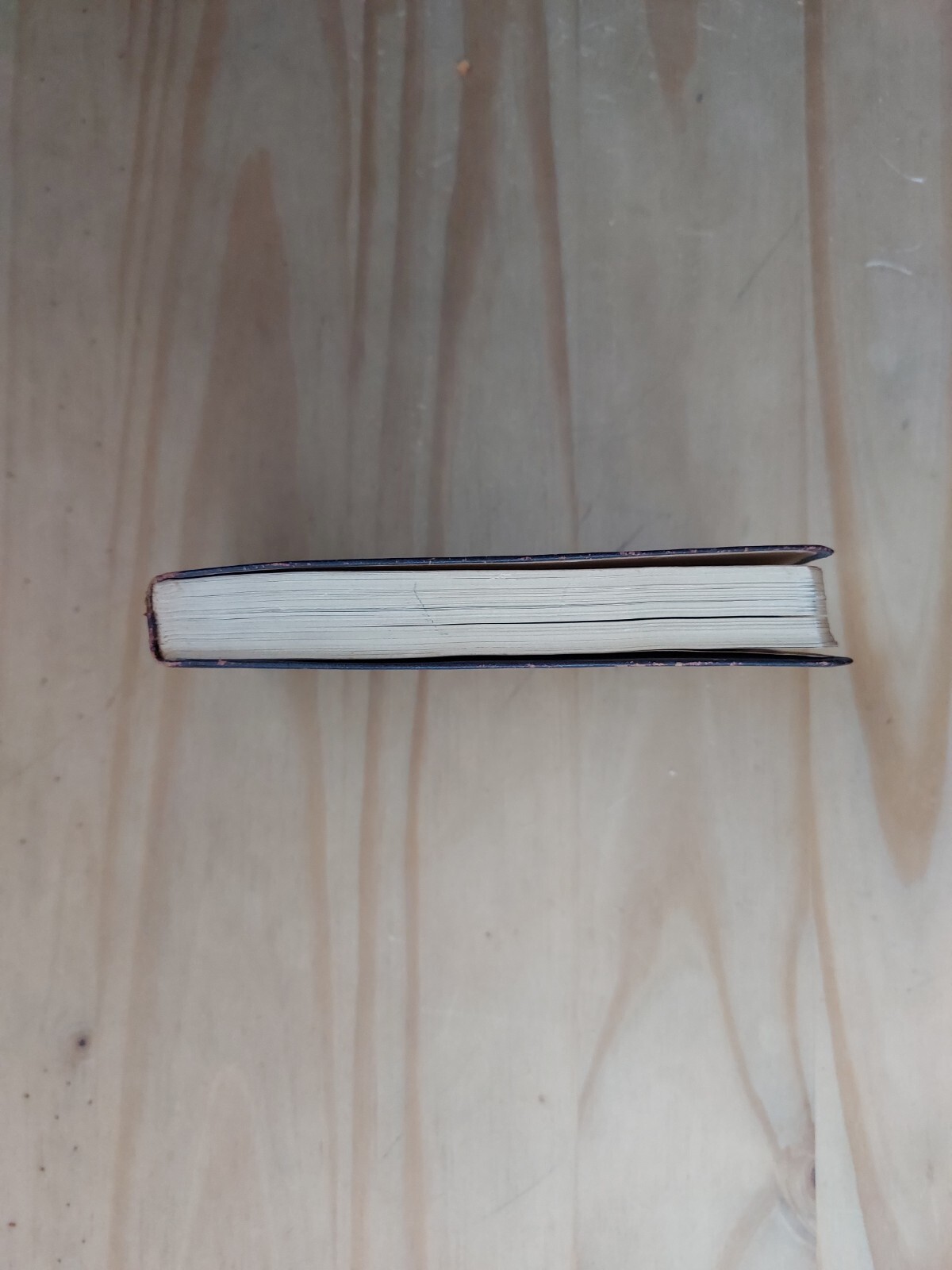 Tree Guide by Julia Ellen Antique 1915 First Edition Rogers 265 Page Pocket Size