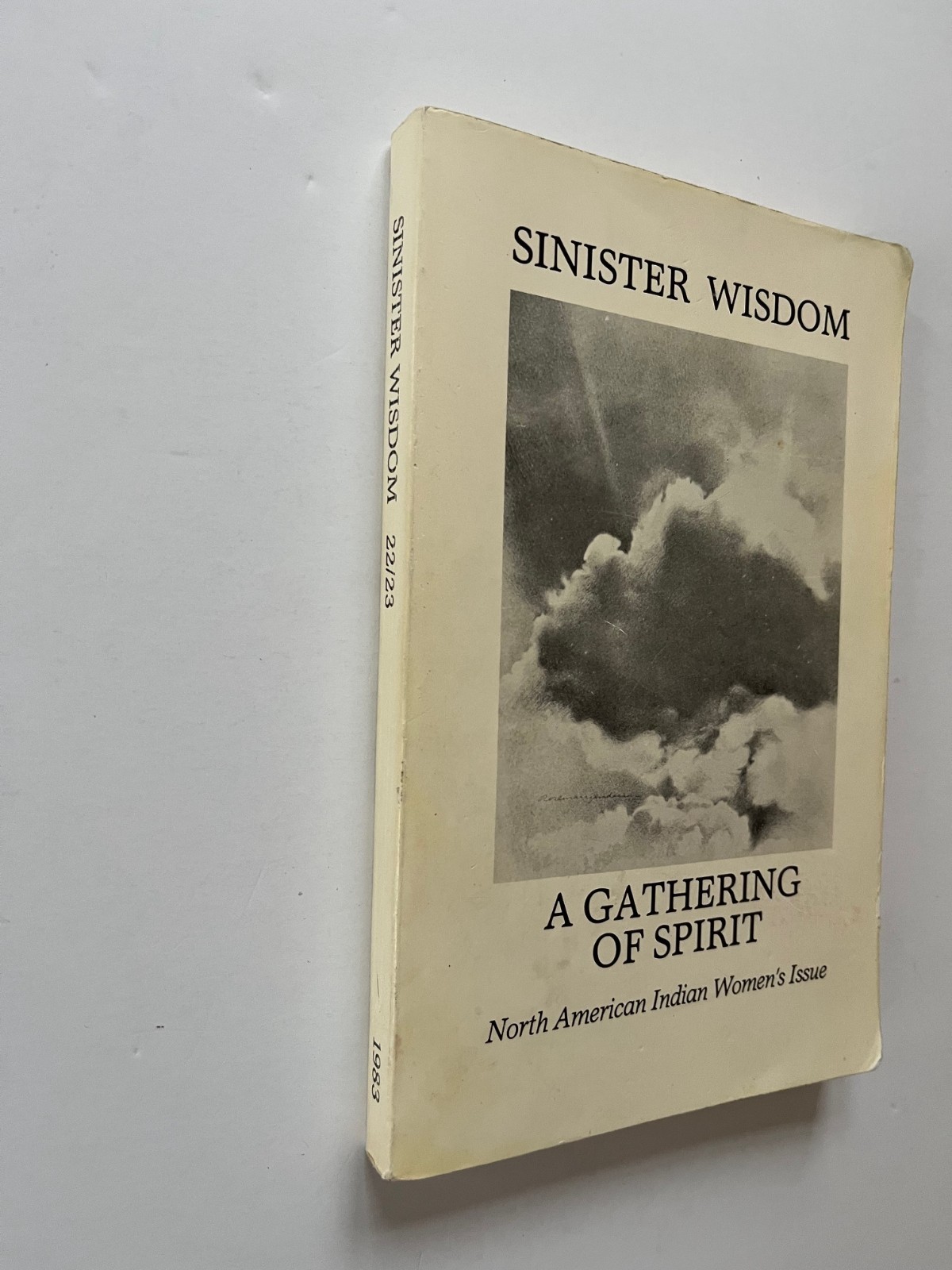 SINISTER WISDOM ~ Native American Women’s Issue Barbara Cameron, Paula Gunn
