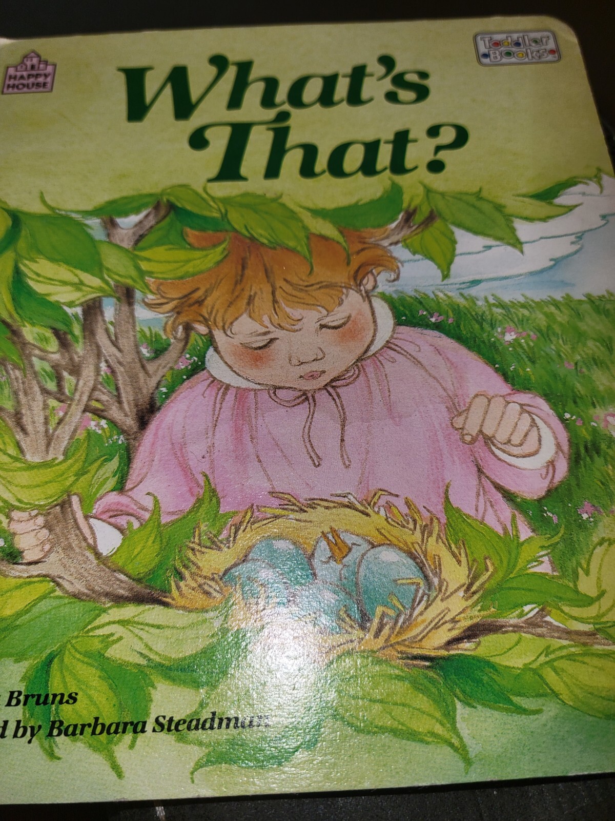 What’s That? Book/ children’s board book by Emma Bruns and Barbara Steadman
