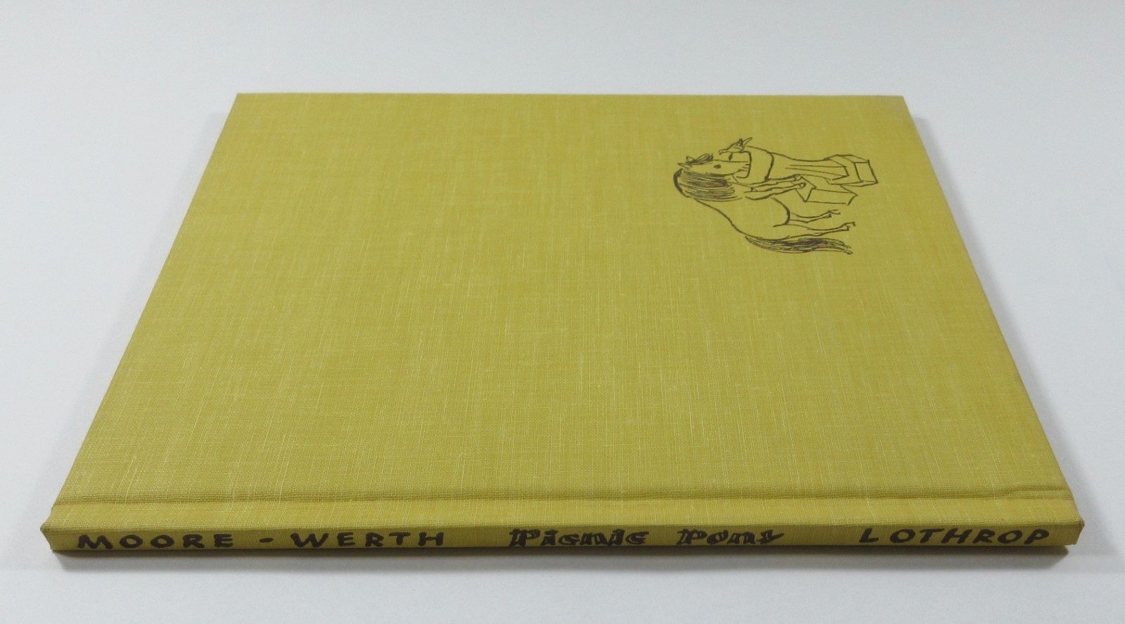 Vintage Childrens Illustrated Picture Book Picnic Pony Moore Werth 1st DJ 1956