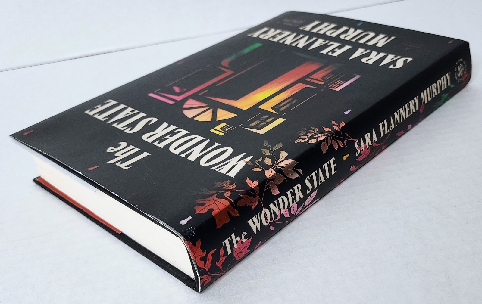 The Wonder State Sara Flannery Murphy 1st Edition HC 2023 ISBN 9780374601775