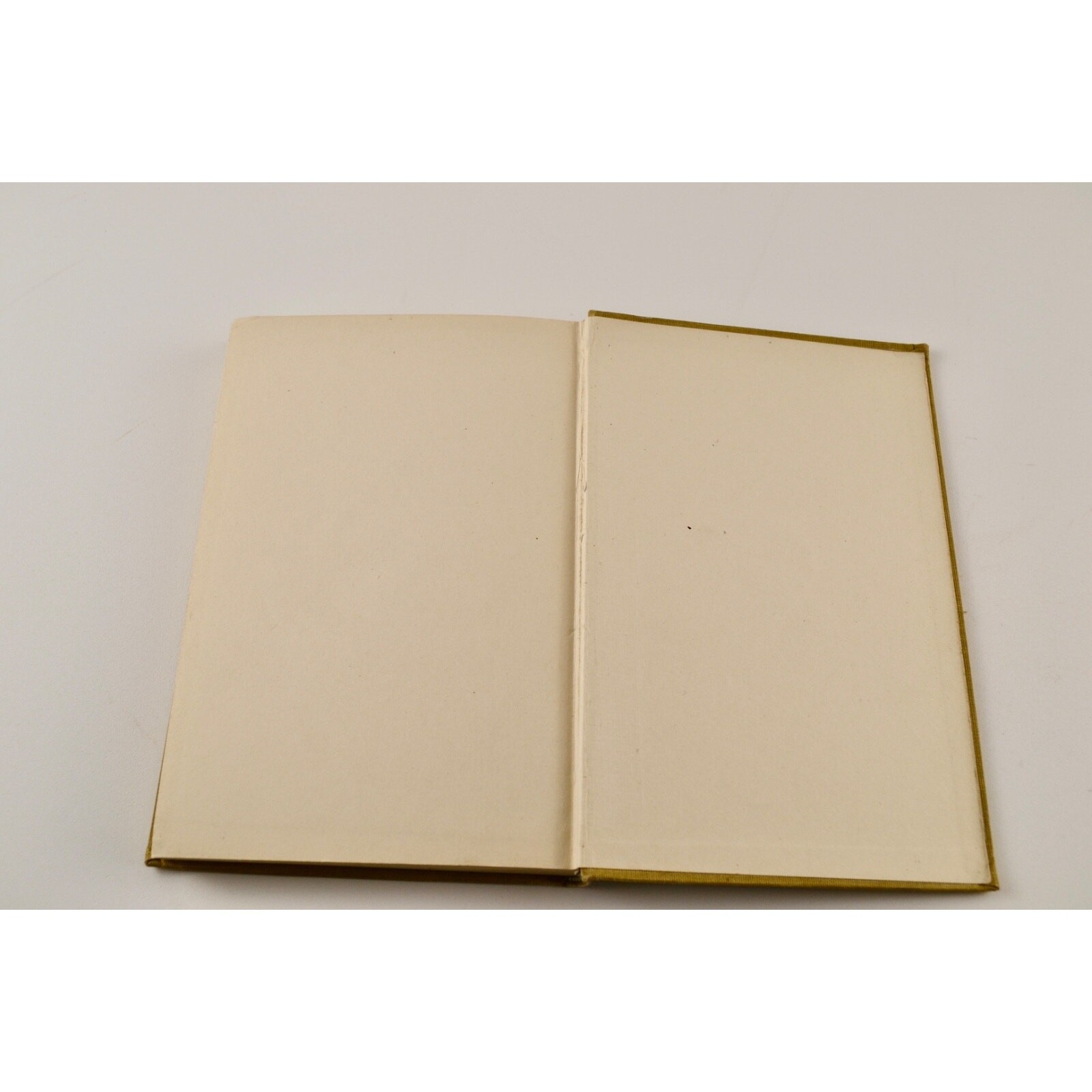 Government in the United States 1902 Lansing & Jones | Civics History Book | Ant