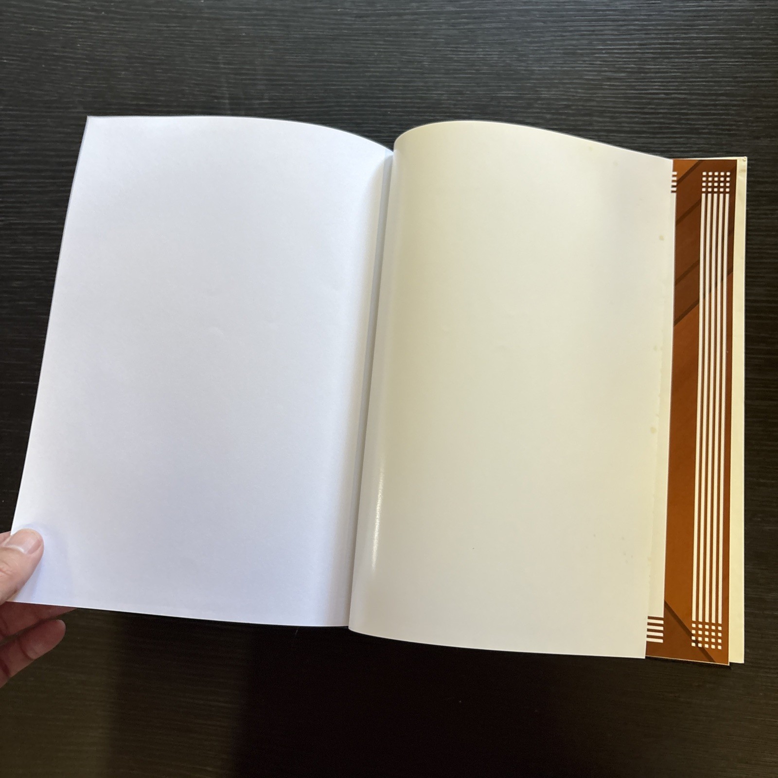 The Expositor’s Study Bible – Giant Print by Jimmy Swaggart Very Good Red Letter