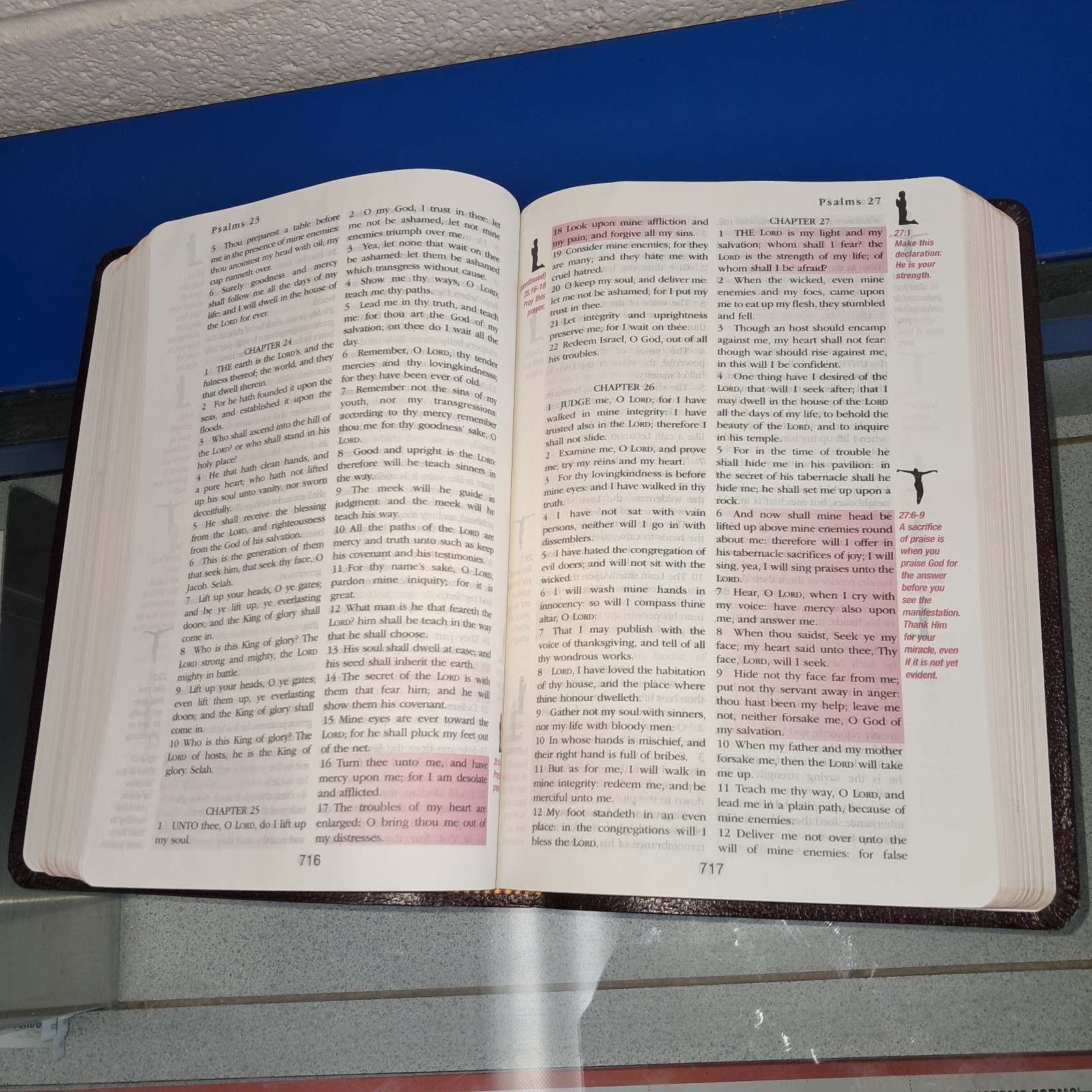 THE HEALING BIBLE MORRIS CERULLO HOLY BIBLE KING JAMES VERSION KJV TEXT 2009