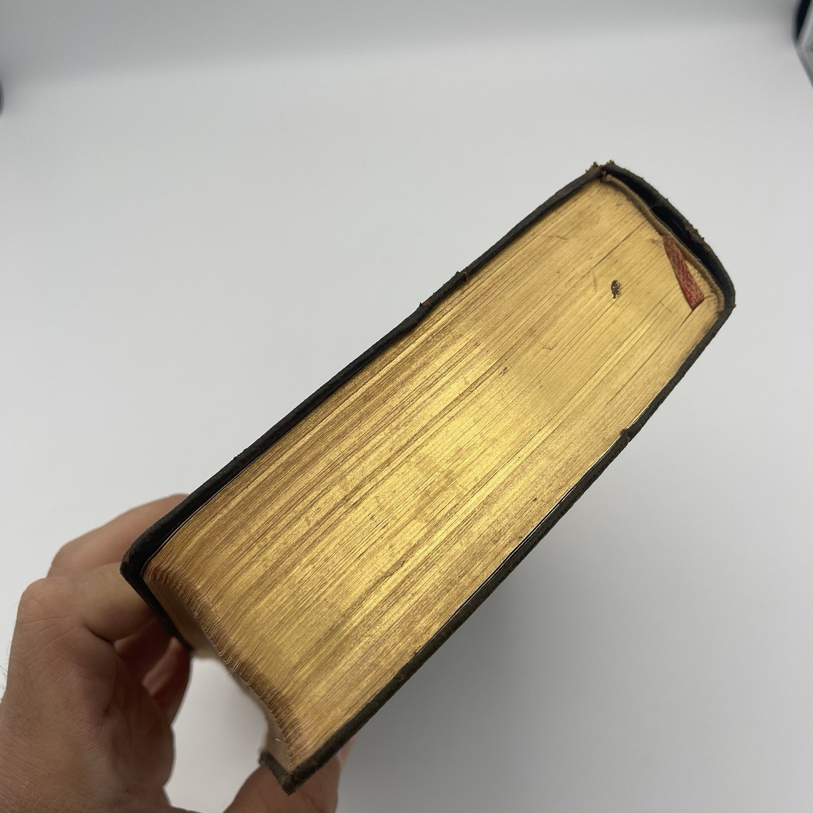 The Holy Bible New Catholic Confraternity Edition Douay Version 1949 Hardcover
