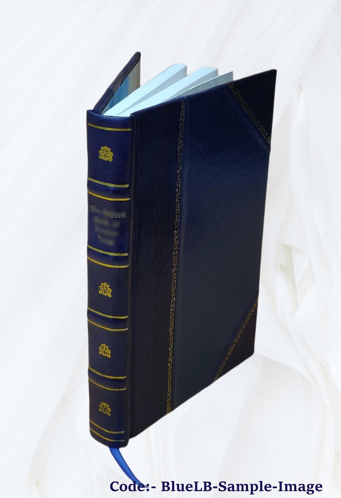 Lady Verner’s flight. 2879 1893 by Hungerford, Margaret Wolfe [Leather Bound]