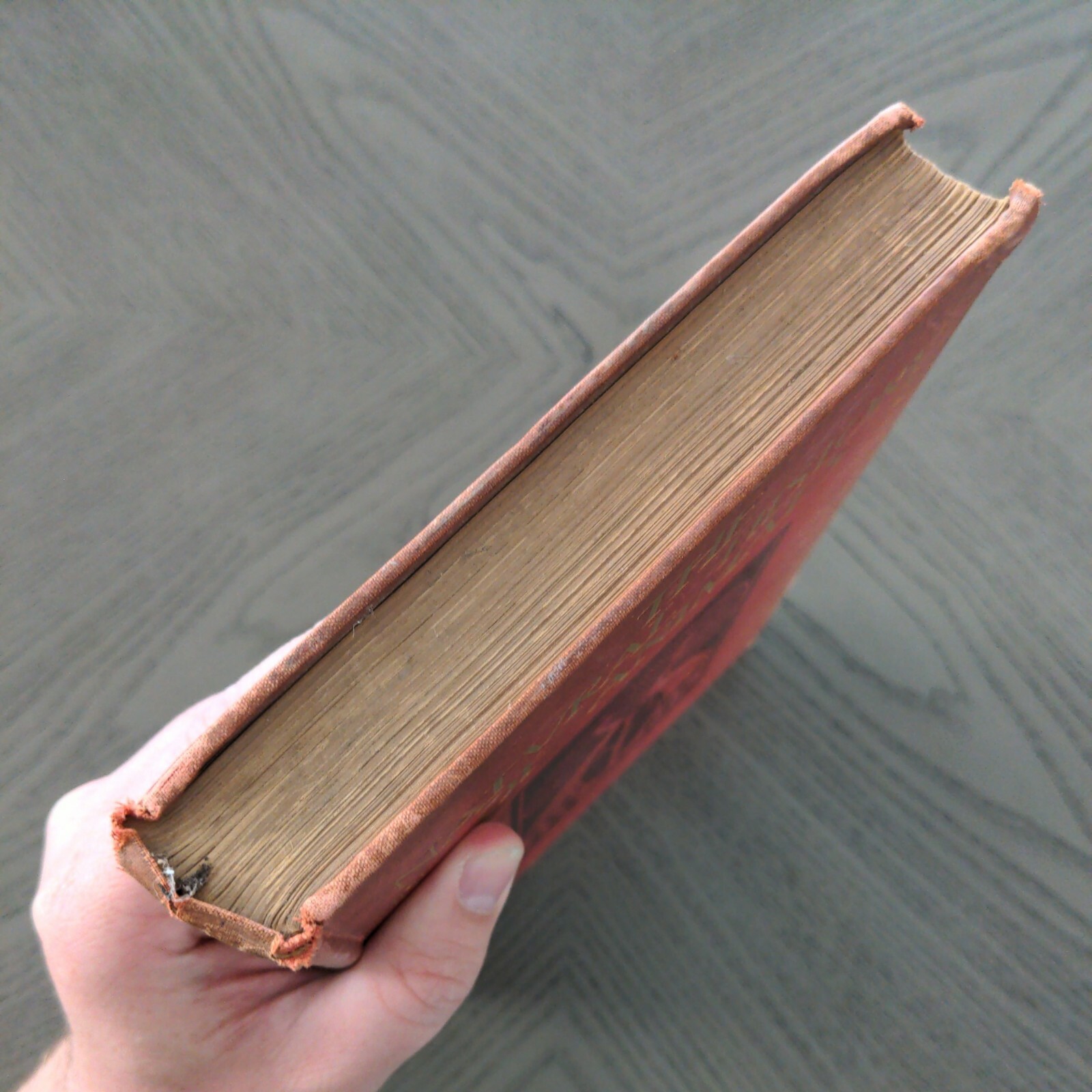 The Natural History Of Animals (Hardcover 1903) J.R. Ainsworth Davis Half Vol 3