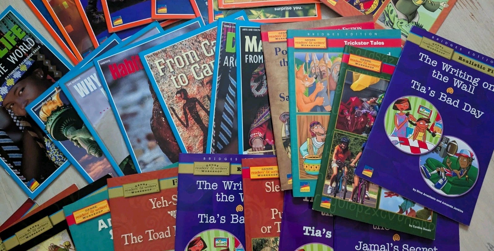 Benchmark Education Books Lot 31 Bridges Genre Workshop Leveled Readers VG