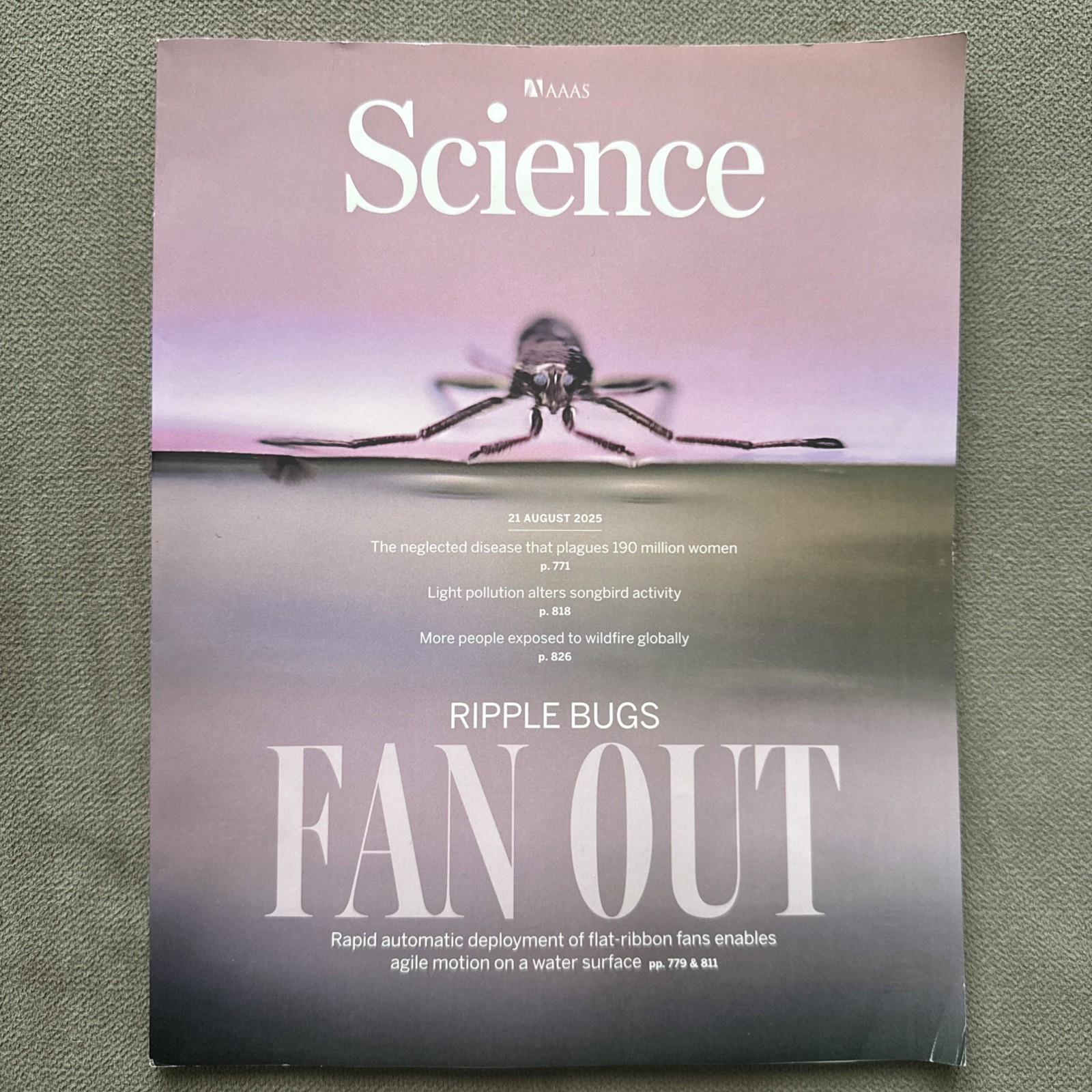 AAAS Science Magazine Vol 389 No 6762 21 August 2025 Ripple Bugs Motion on Water