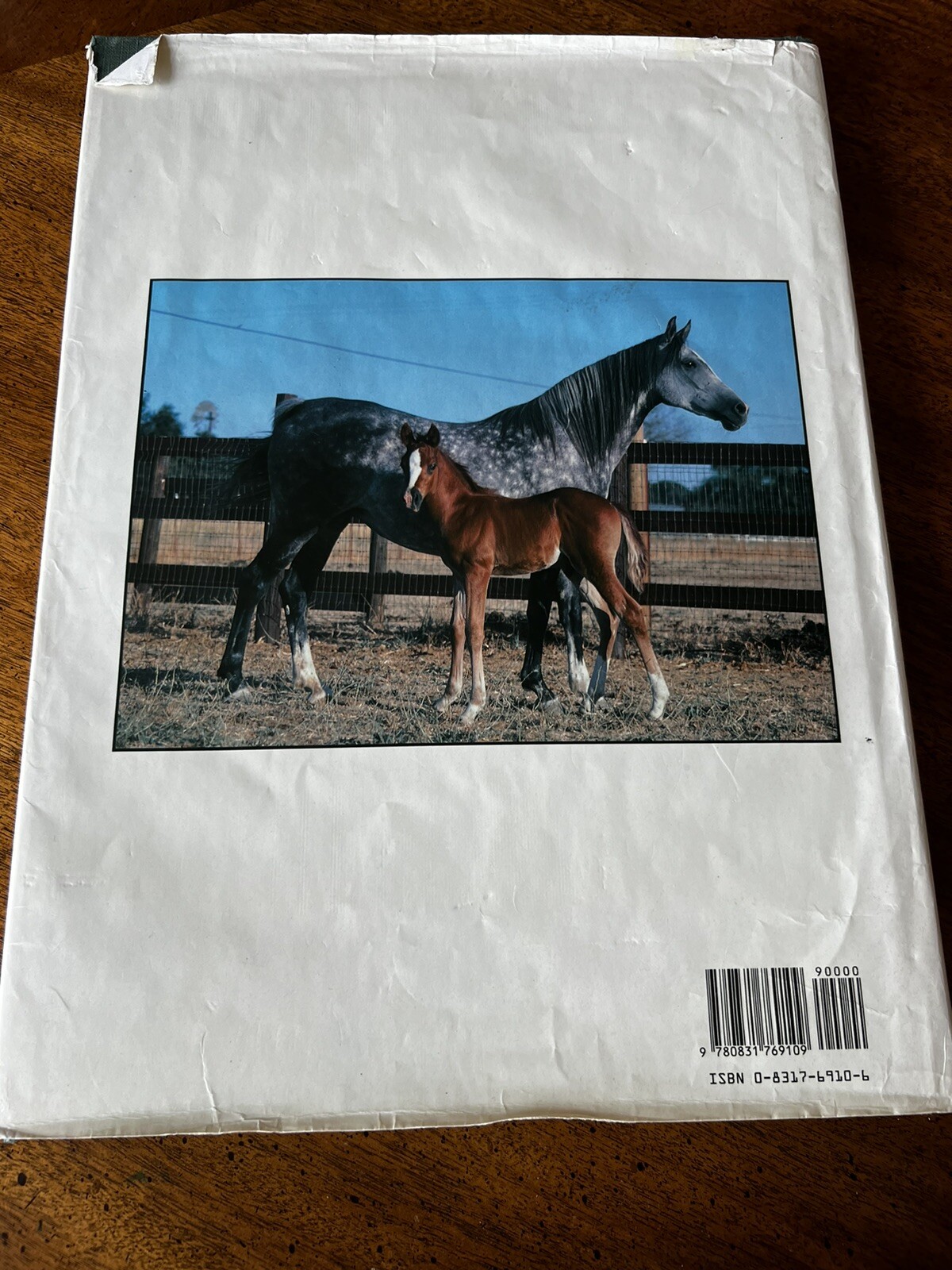 Pictorial Encyclopedia of Horses by WJ Yenne, 1989