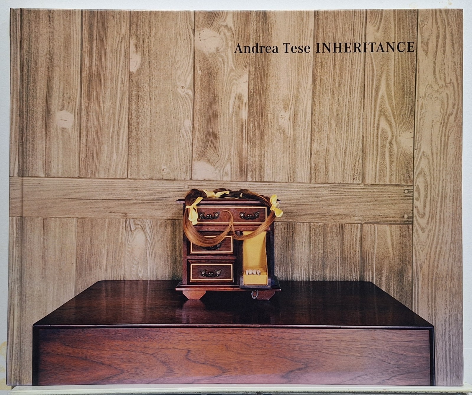 Andrea Tese INHERITANCE photography hardcover 2015 STEIDL publishers
