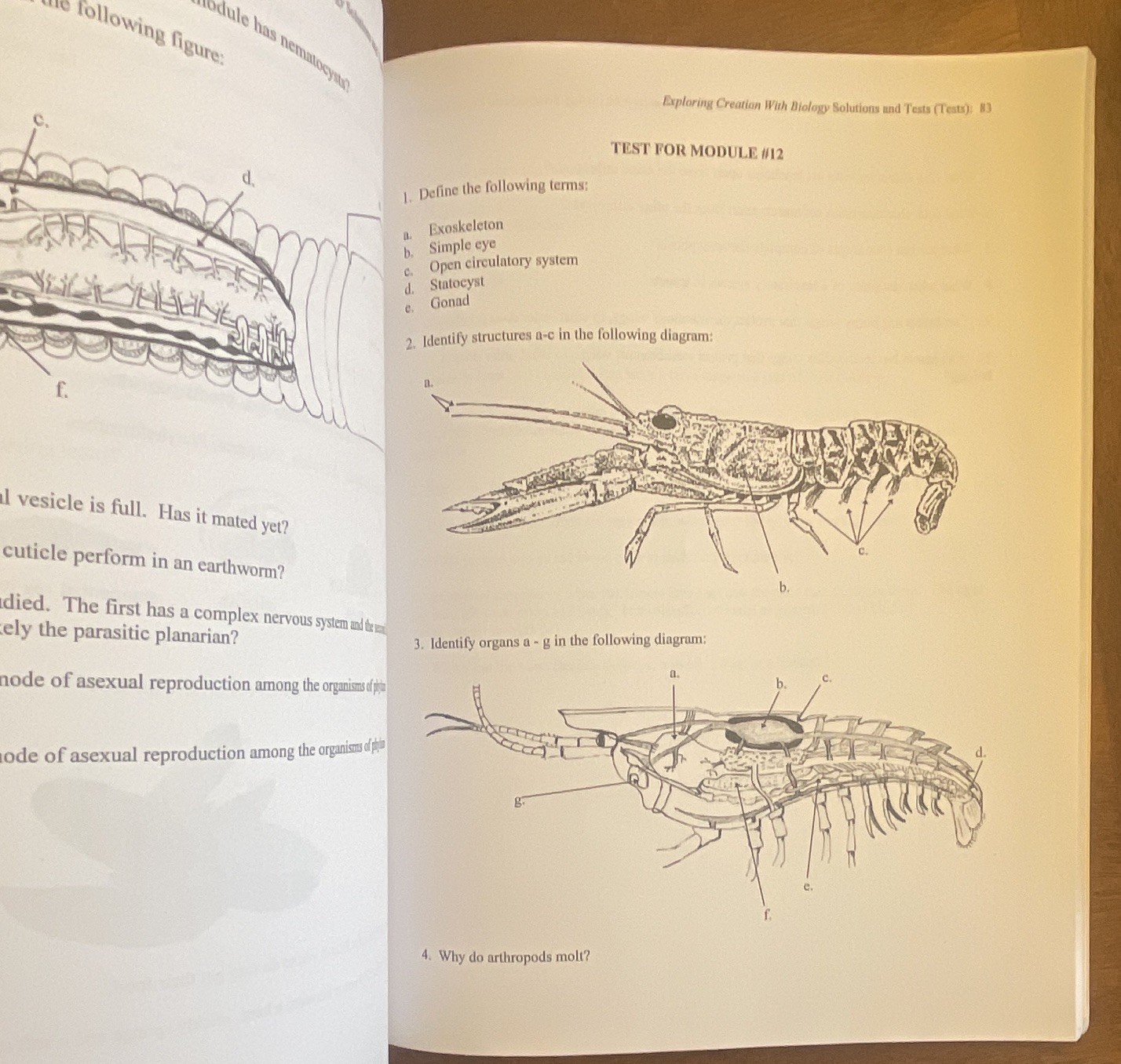 Apologia Exploring Creation With Biology 1998 Wile Durnell High School Textbook