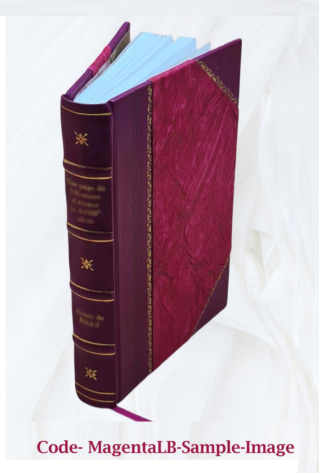 Lady Verner’s flight. 2879 1893 by Hungerford, Margaret Wolfe [Leather Bound]