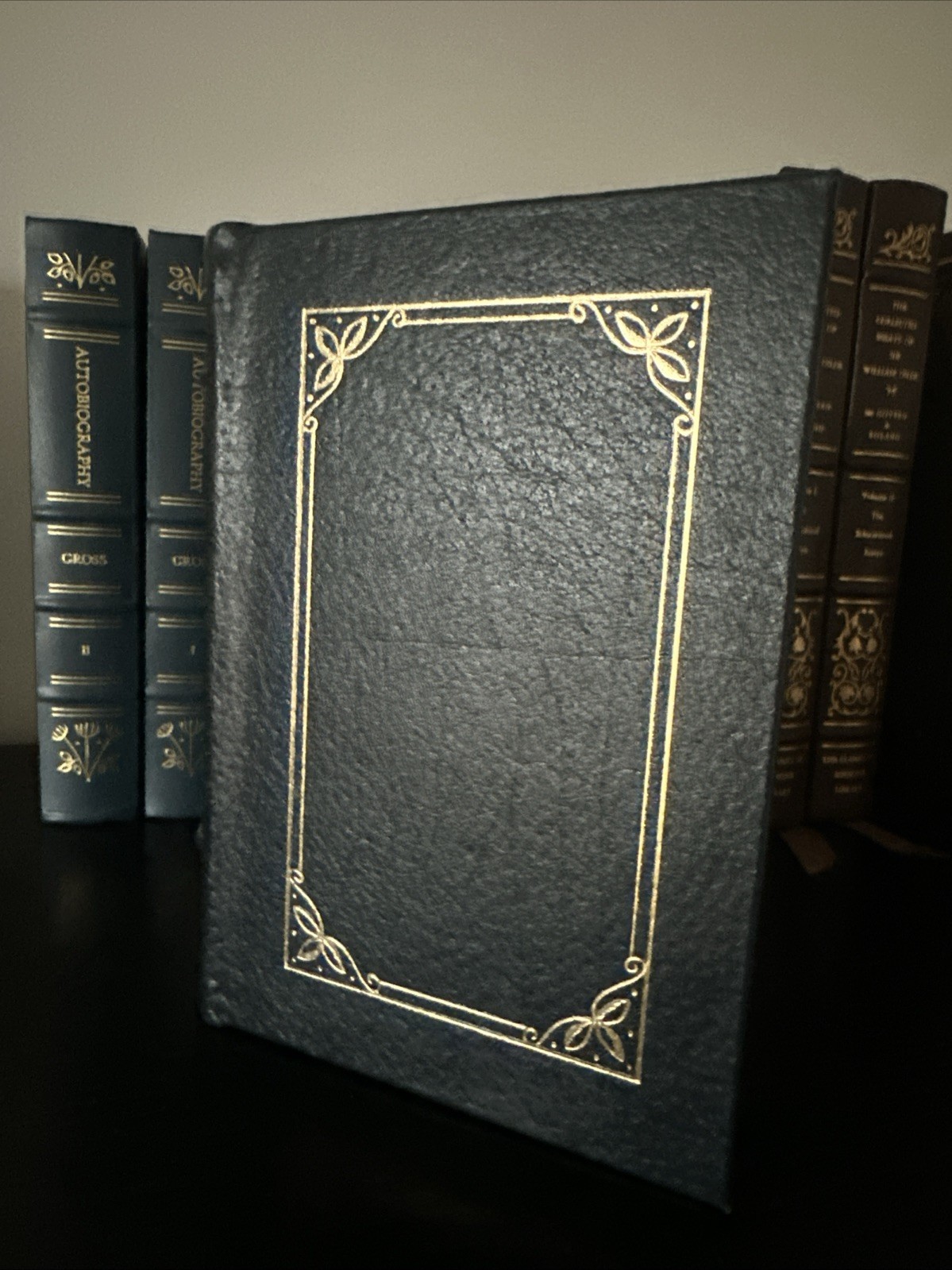An Introduction To The Study Of Physic Classics of Medicine Leather HB book