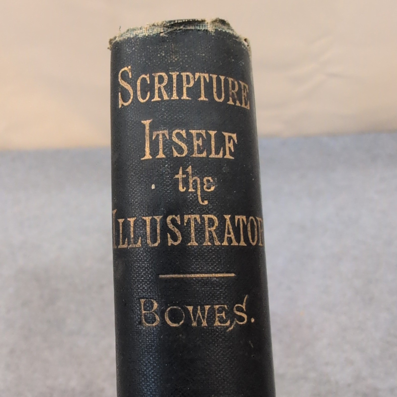 Scripture Itself the Illustrator Rev G S Bowes Fleming H Revell Antique Book
