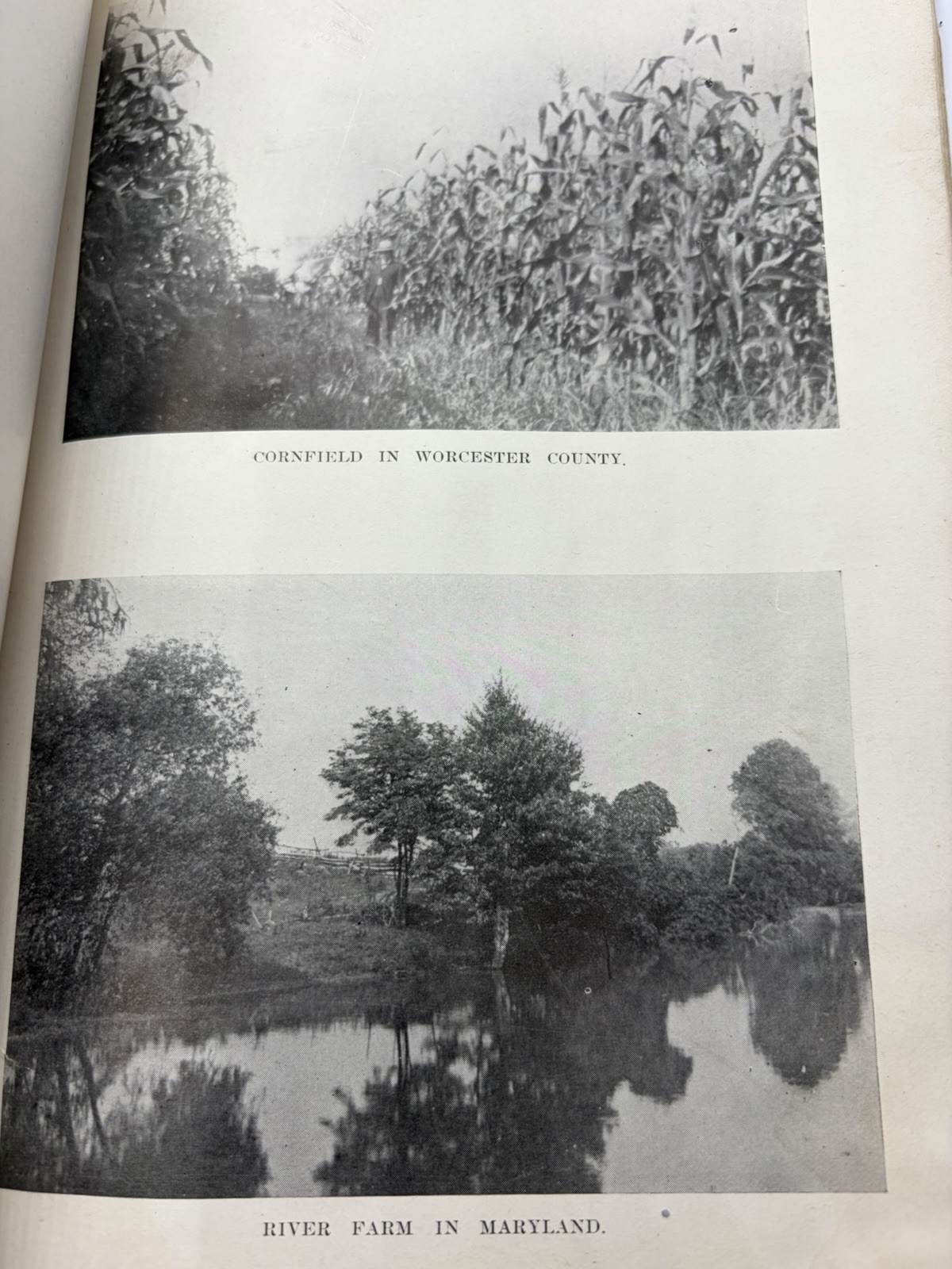 RARE 1913 Book MARYLAND: Its Lands, Products & Industries Ideal.. Antique