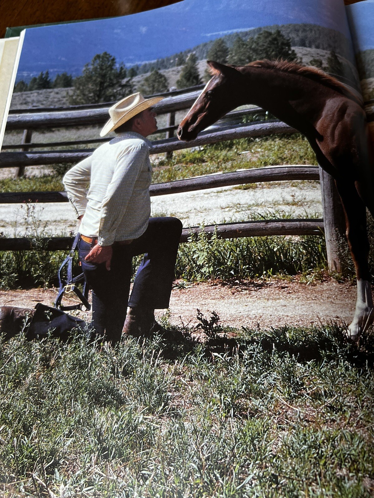 Pictorial Encyclopedia of Horses by WJ Yenne, 1989
