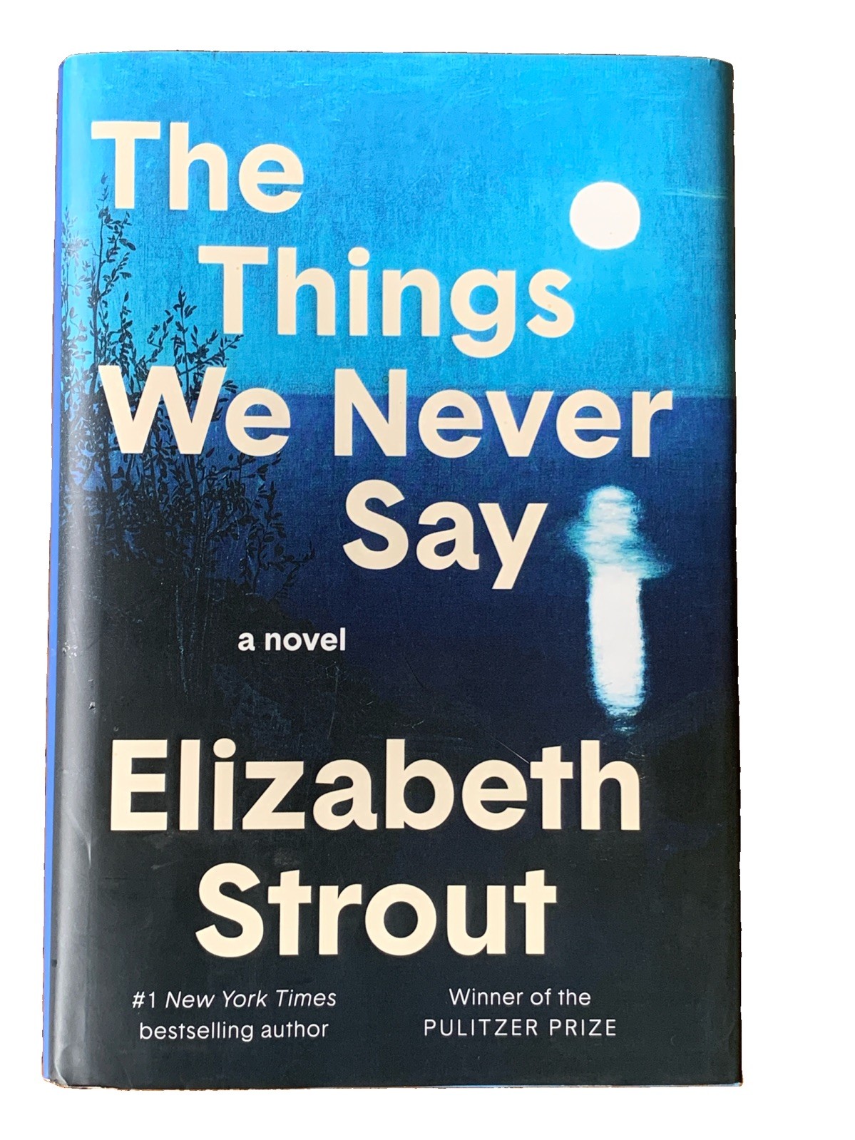 The Things We Never Say: A Novel By Elizabeth Strout (2026, Hardcover)