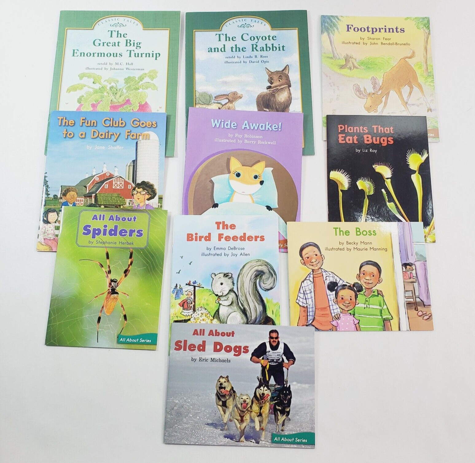 Lot of 10 Fountas & Pinnell LLI Blue System Level H Leveled Readers Grade 2