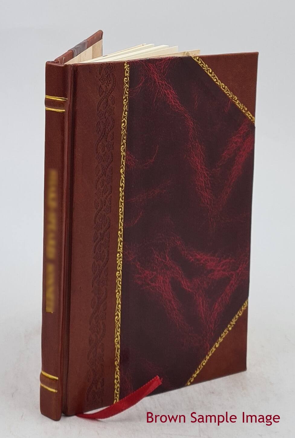 Iconoclasm and whitewash, and other papers 1885 [Leather Bound]