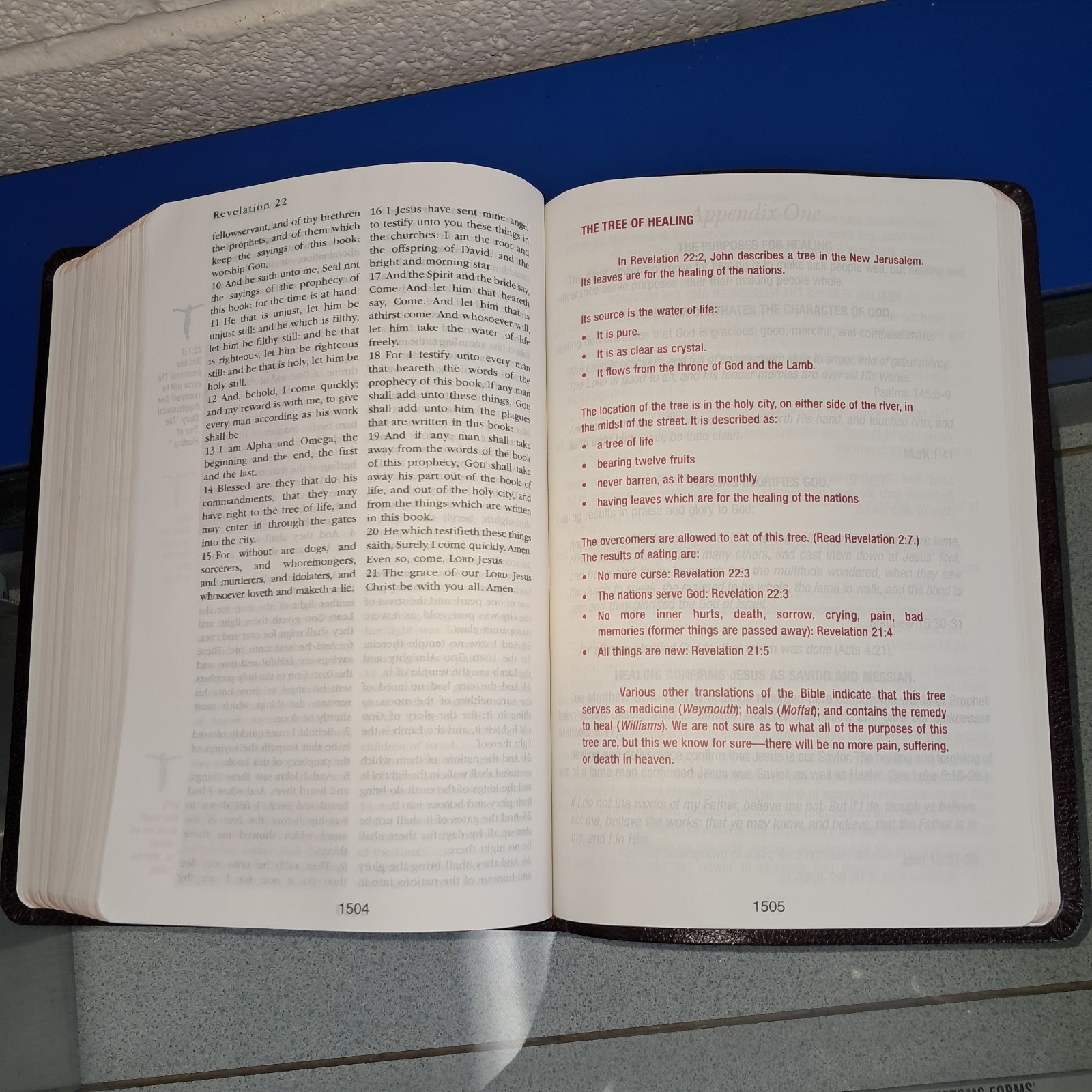THE HEALING BIBLE MORRIS CERULLO HOLY BIBLE KING JAMES VERSION KJV TEXT 2009