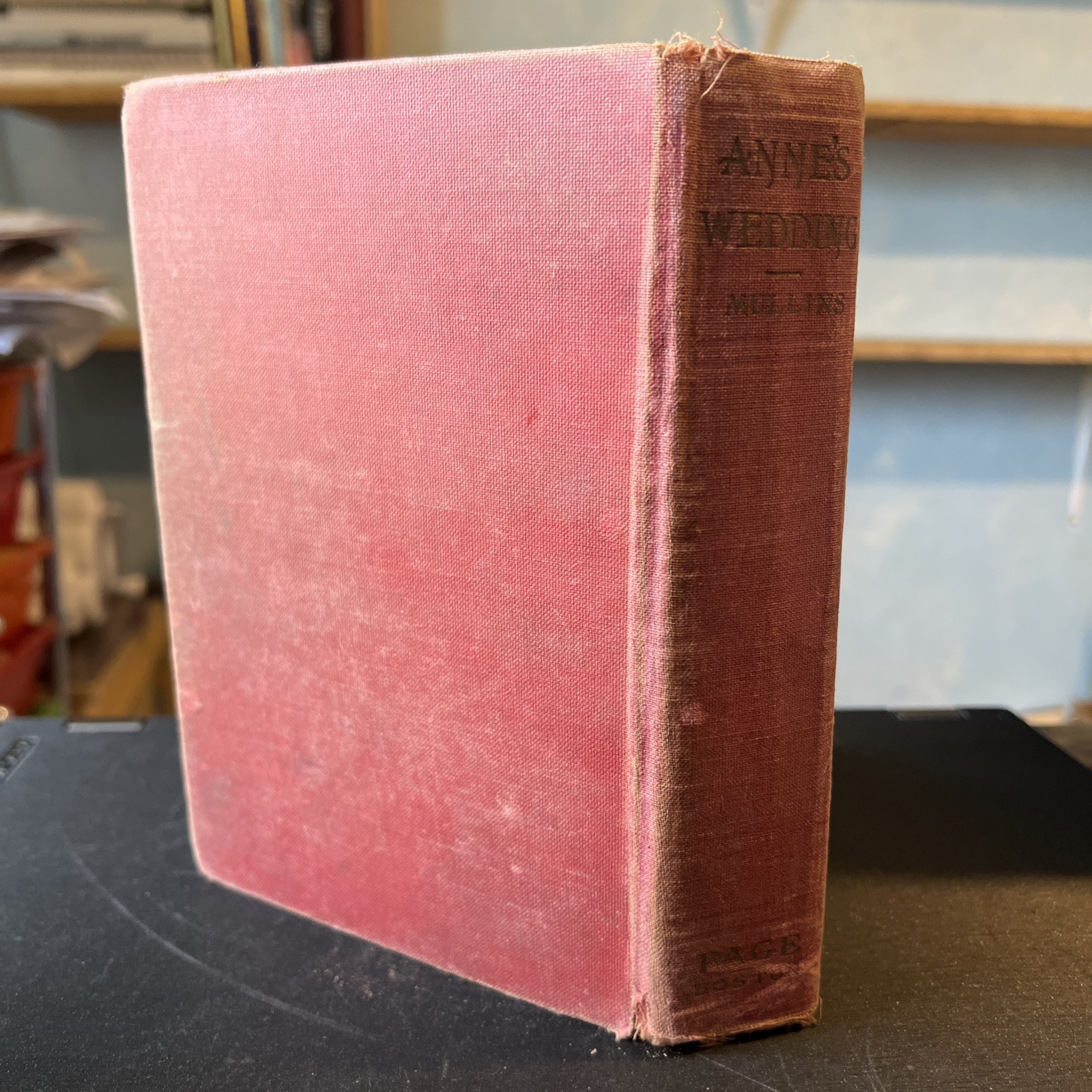 Anne’s Wedding: A Blossom Shop Romance (First Edition) S4