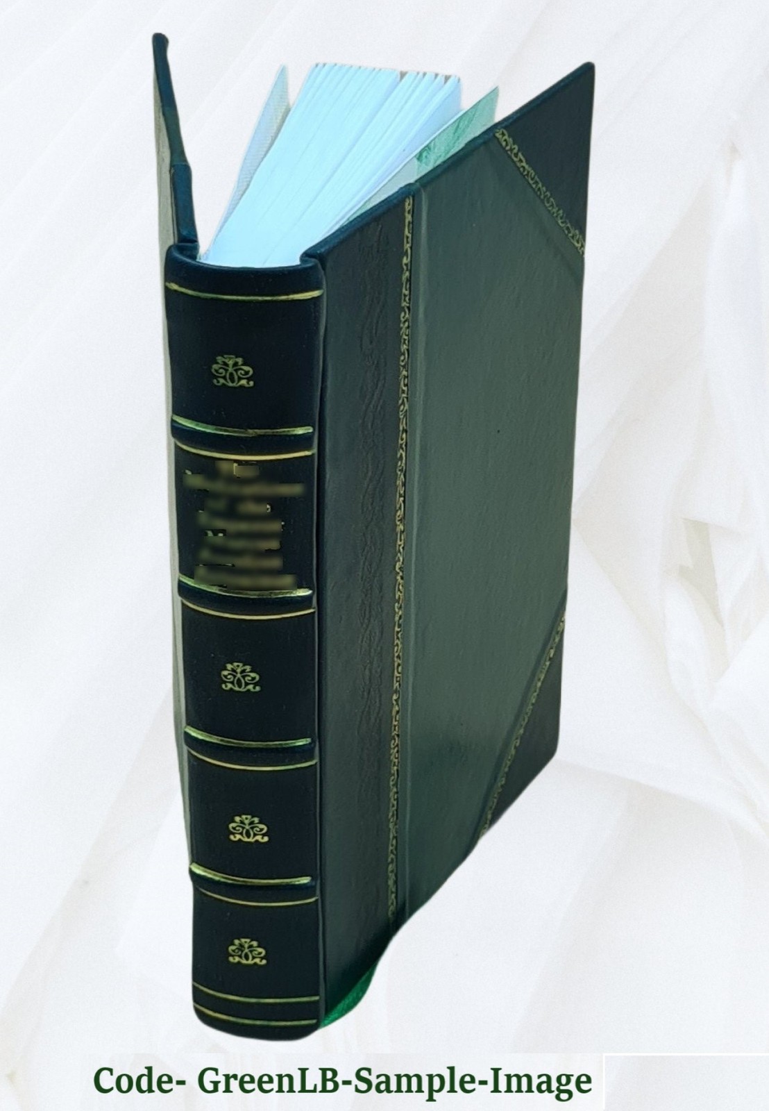 Lady Verner’s flight. 2879 1893 by Hungerford, Margaret Wolfe [Leather Bound]