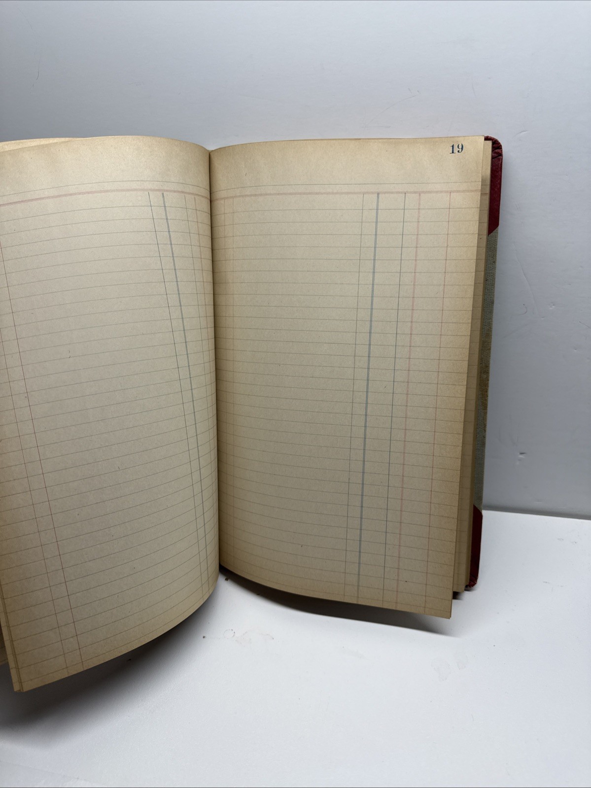 Antique Ledger Budget Book