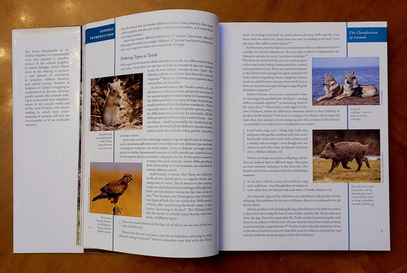 The Torah Encyclopedia Of The Animal Kingdom, 2017, 433 pages, like new.