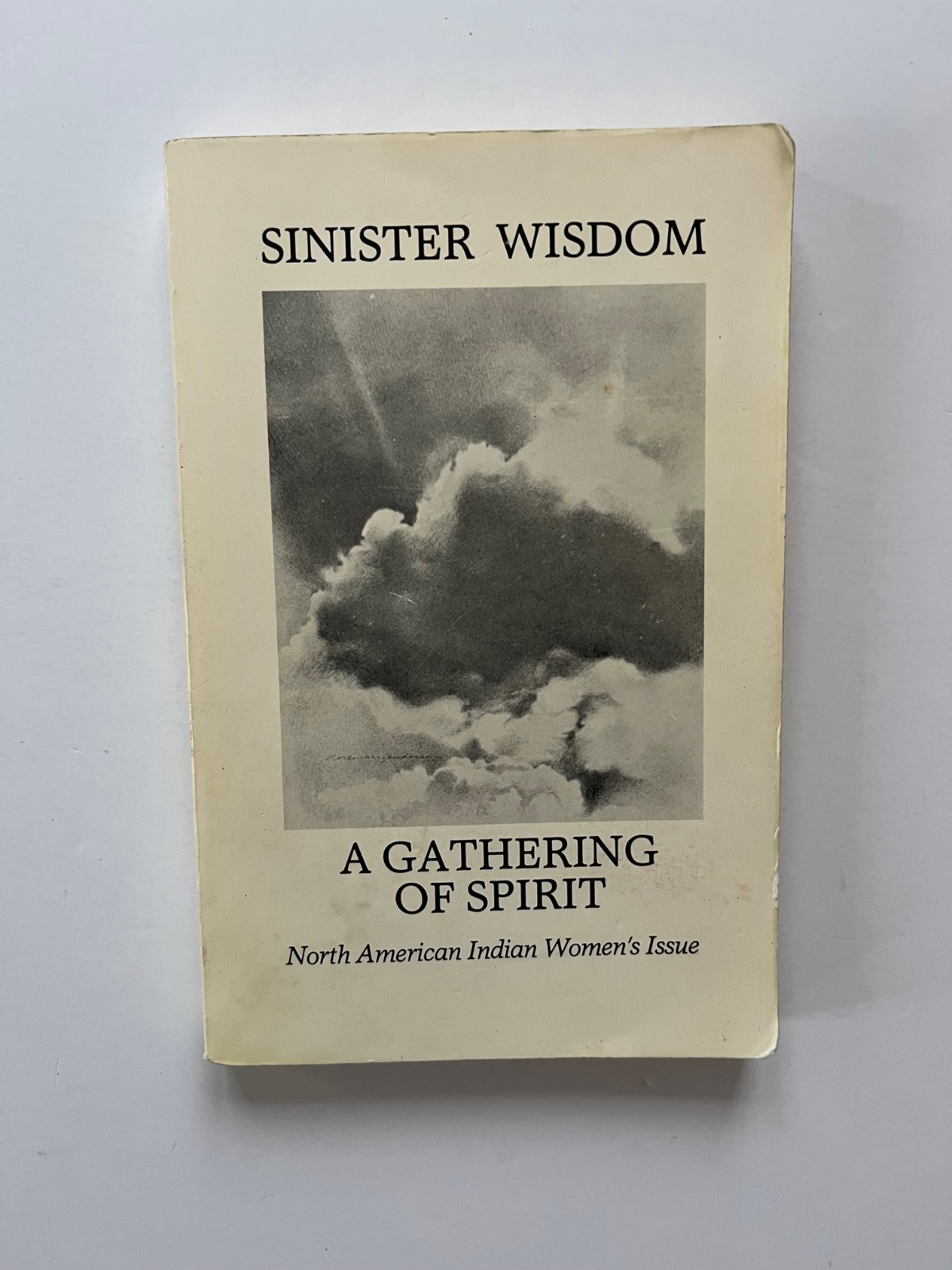 SINISTER WISDOM ~ Native American Women’s Issue Barbara Cameron, Paula Gunn