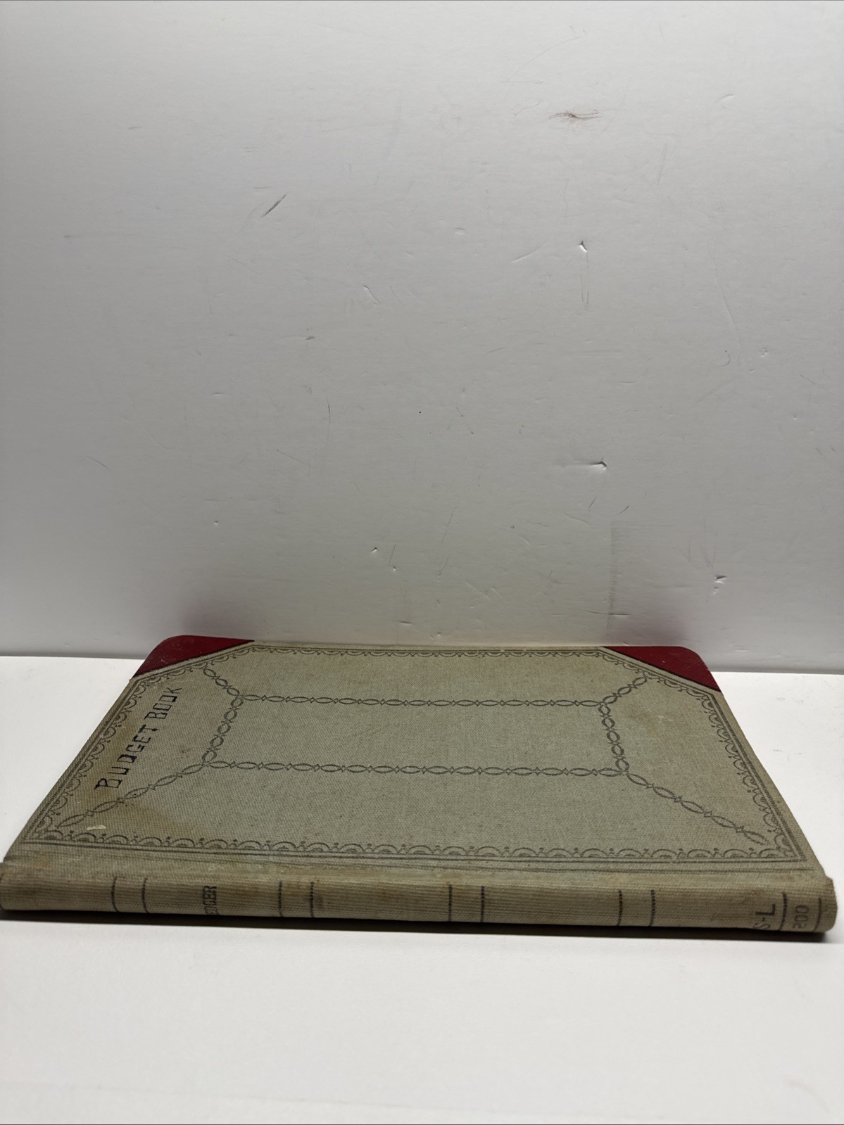 Antique Ledger Budget Book