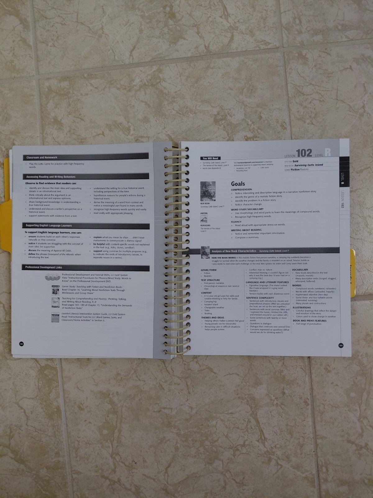 Leveled Literacy Intervention (LLI) Lesson Guide- Gold Volume 2 Levels Q-T