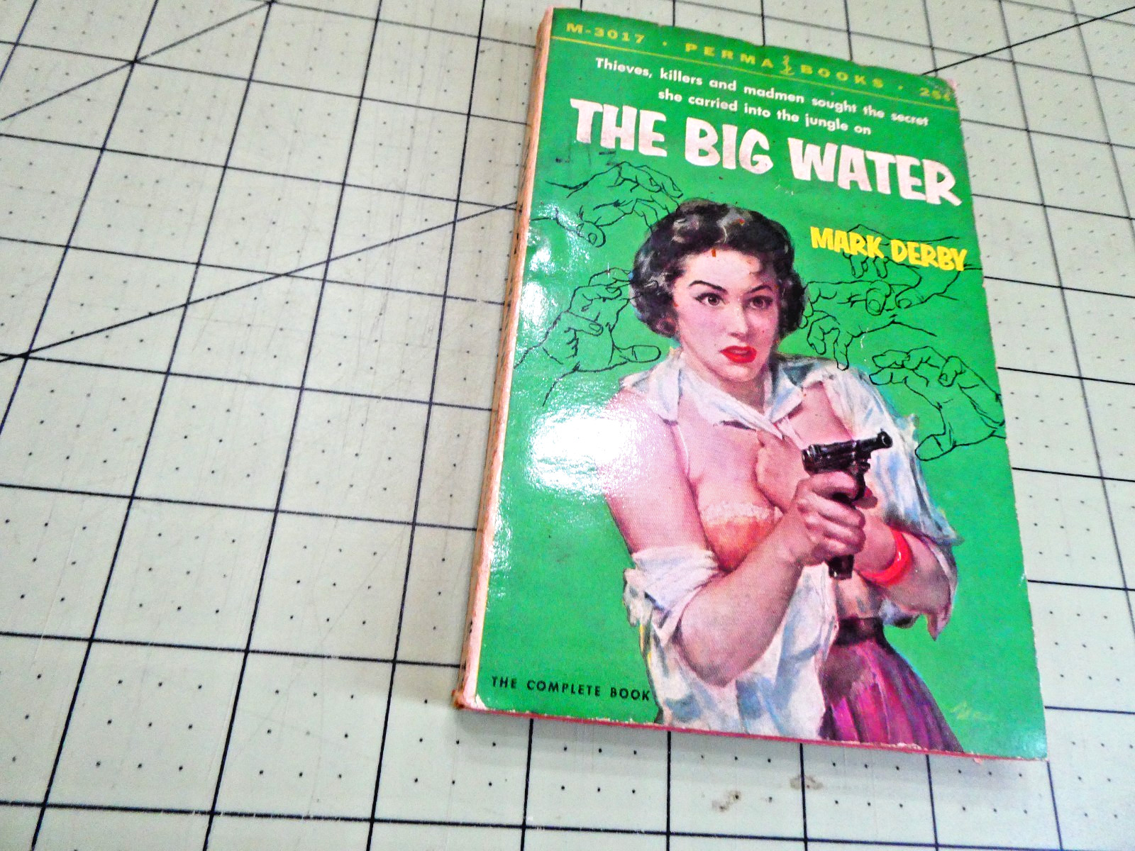 Mark Derby: The Big Water: 1st PB ed Perma bks PULP NOIR THRILLER GGA
