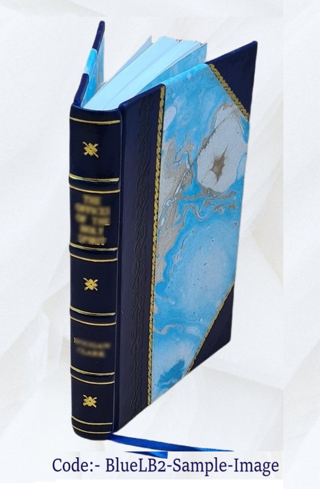 Lady Verner’s flight. 2879 1893 by Hungerford, Margaret Wolfe [Leather Bound]