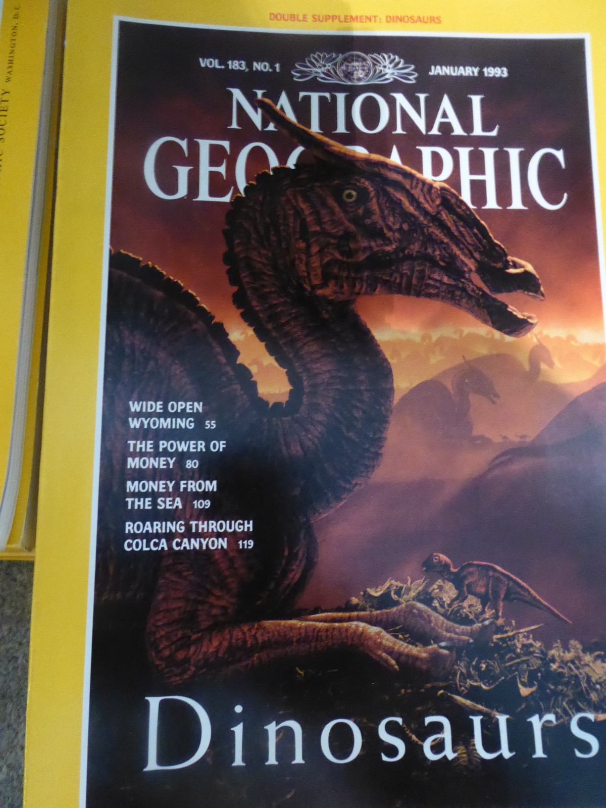 National Geographic magazine bundle x 41 1991-1993 complete plus