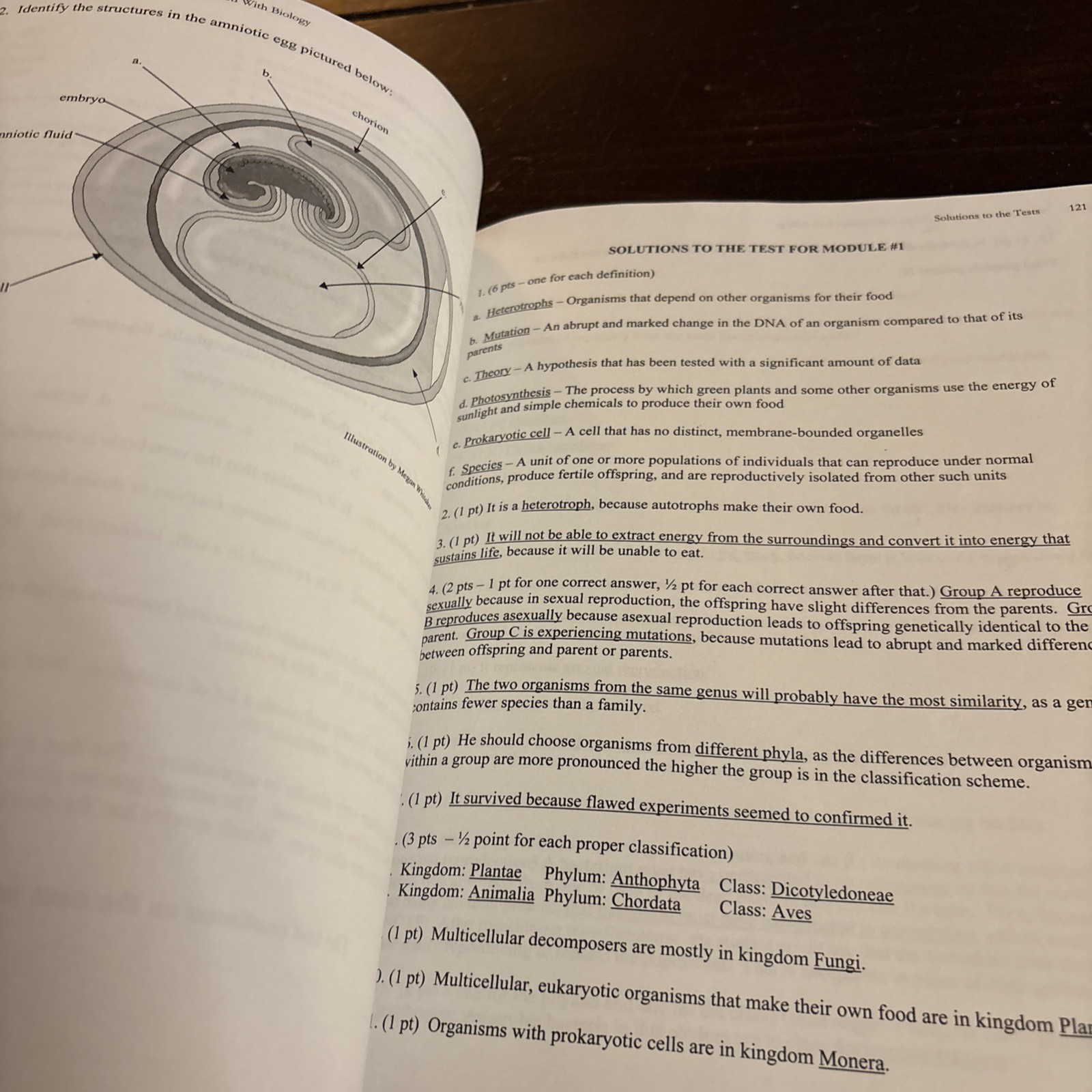 Solutions and Tests for Exploring Creation With Biology by Marilyn F. Durnell…