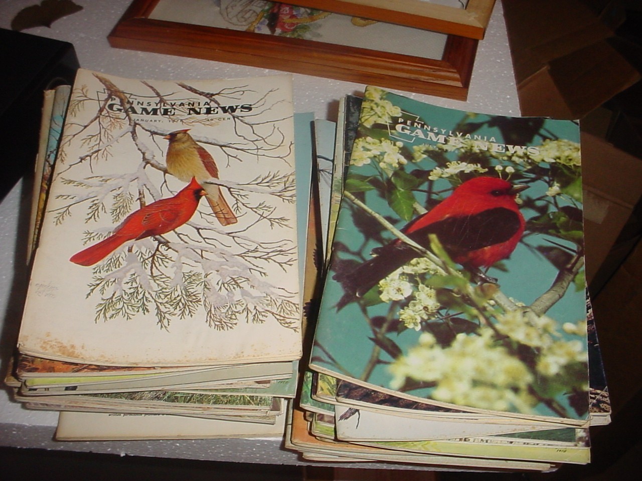 Vintage 1970s Pennsylvania PA Game News Magazine Lot Of 35 Issues