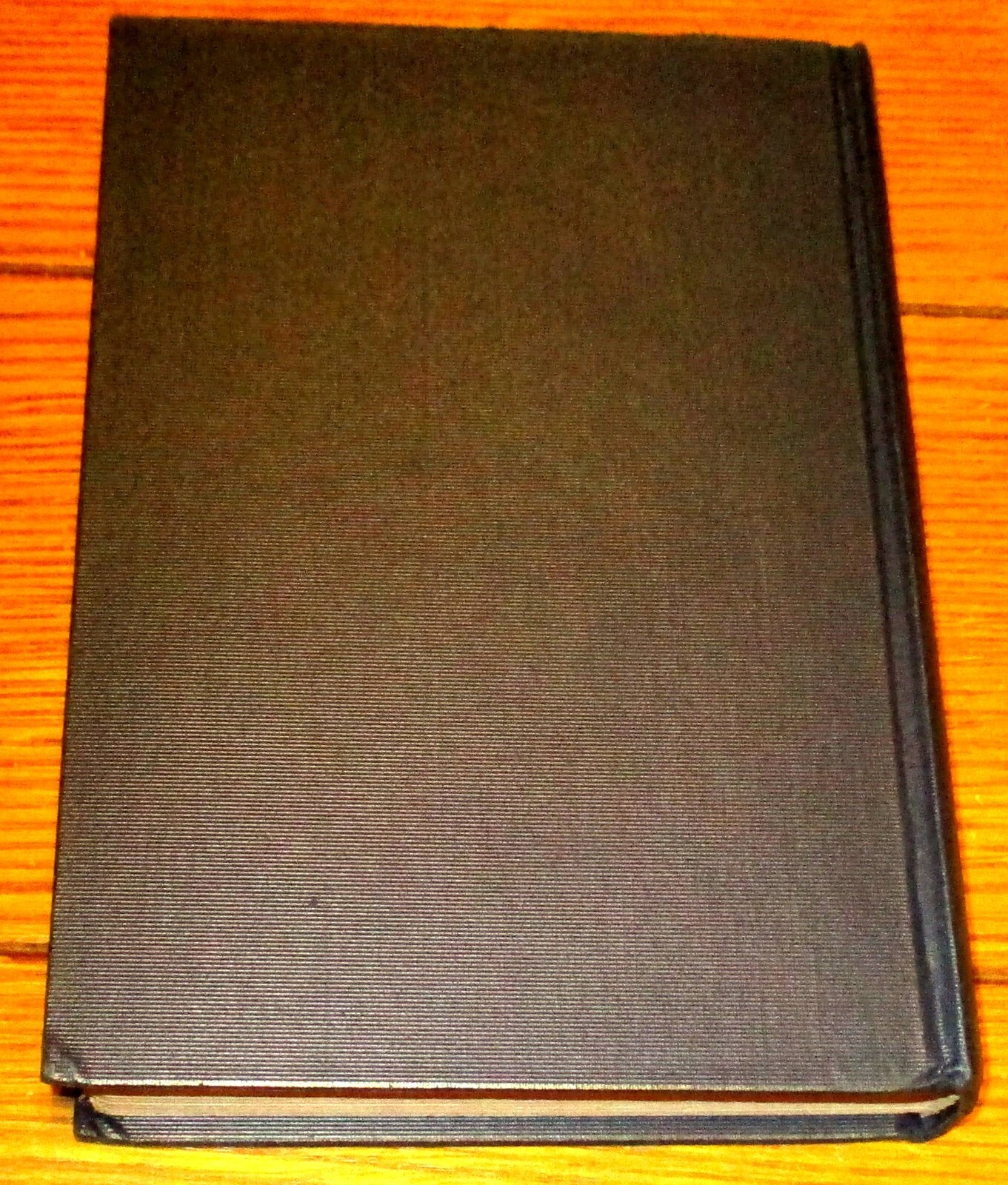 1928 Poems in Praise Practically Nothing H/C 214 Pages