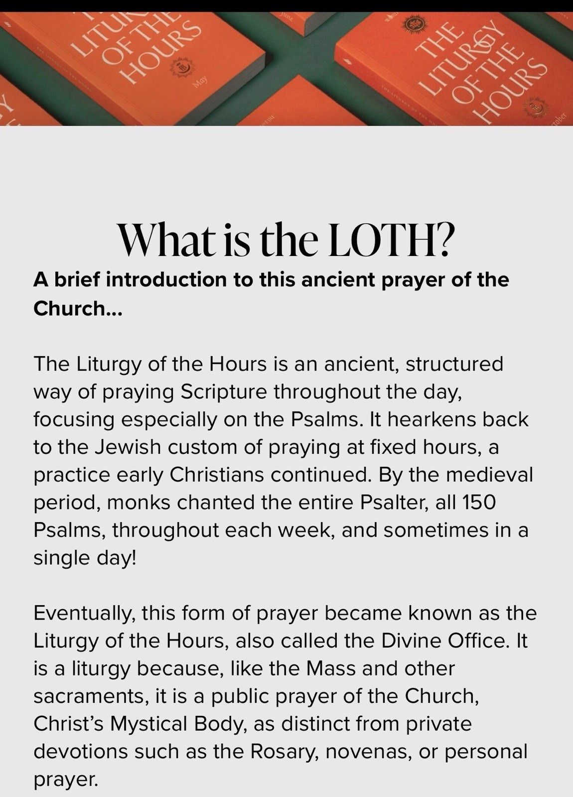 LOT of 11 NEW 2025 The Liturgy Of The Hours Word On Fire Books, ALL BUT JULY