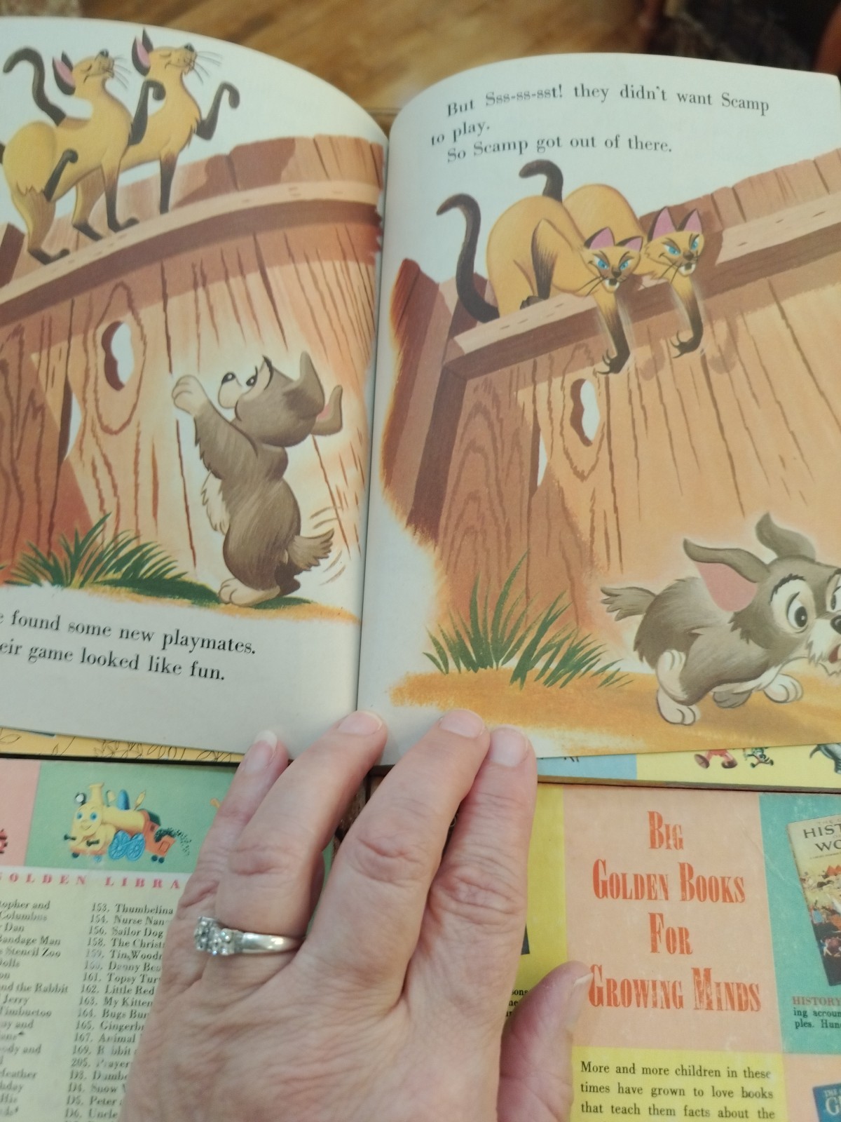 First 1st Edition LITTLE GOLDEN BOOKS 1950’s/1960’s Lot Of 10
