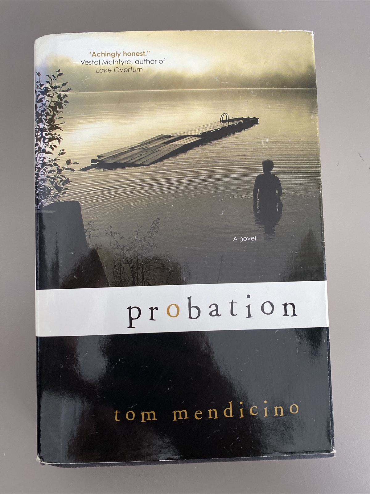 Probation by Tom Mendicino (2010, Trade Paperback)