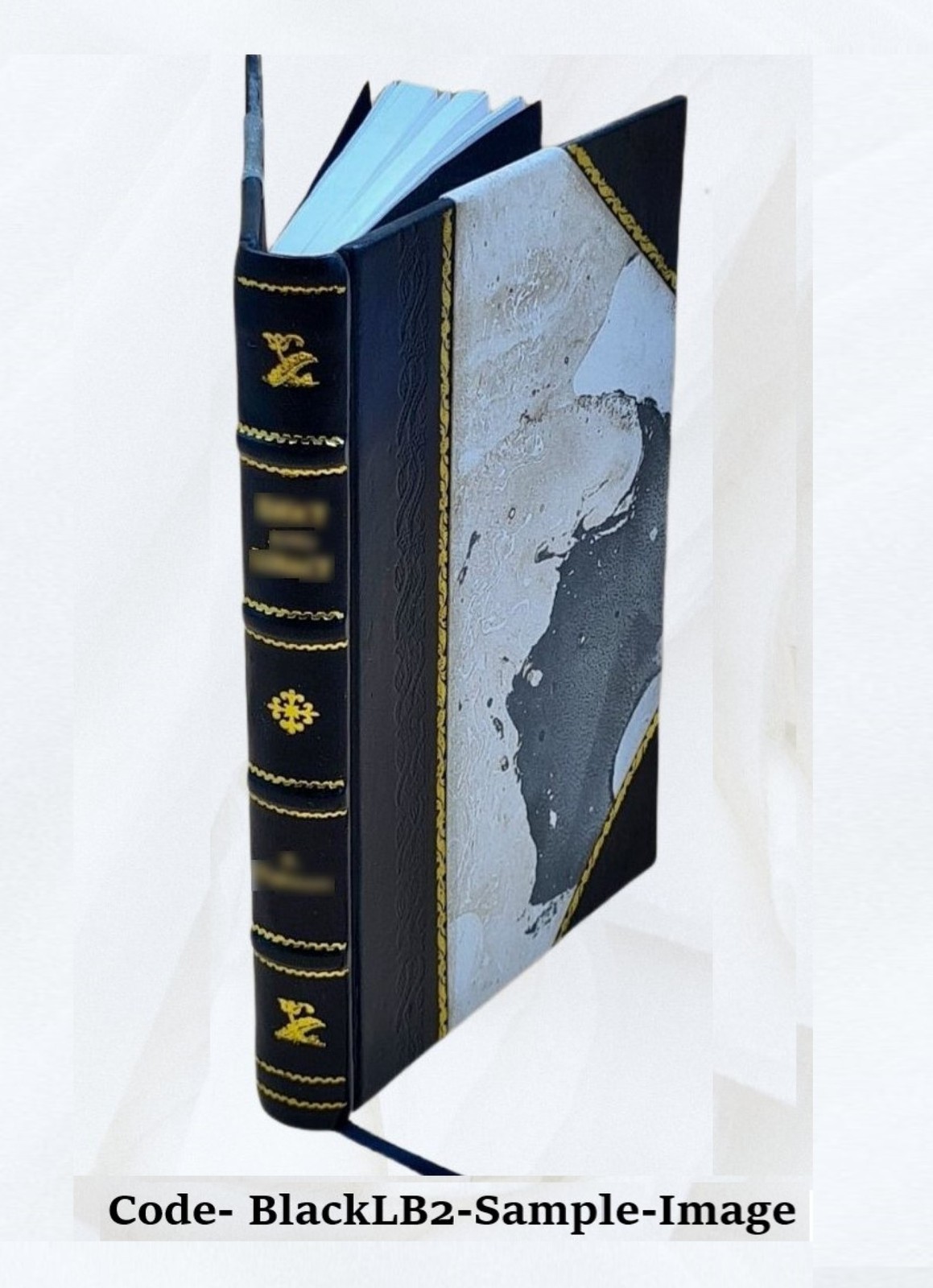 Lady Verner’s flight. 2879 1893 by Hungerford, Margaret Wolfe [Leather Bound]