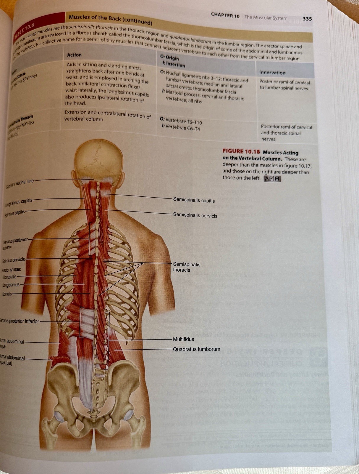 Saladin Anatomy & Physiology Unity of Form & Function 7th HC 2014 Illustrated